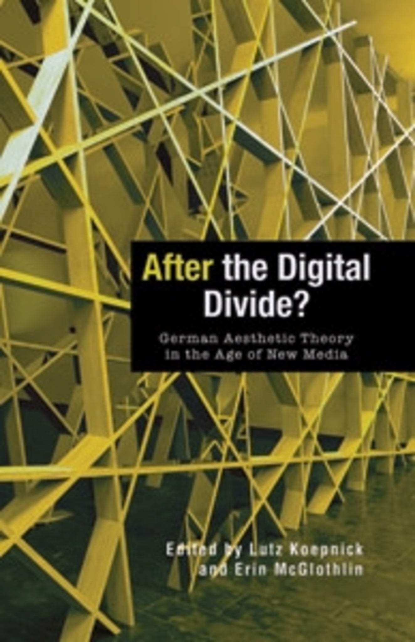Cover image for After the Digital Divide? ISBN 9781571133991