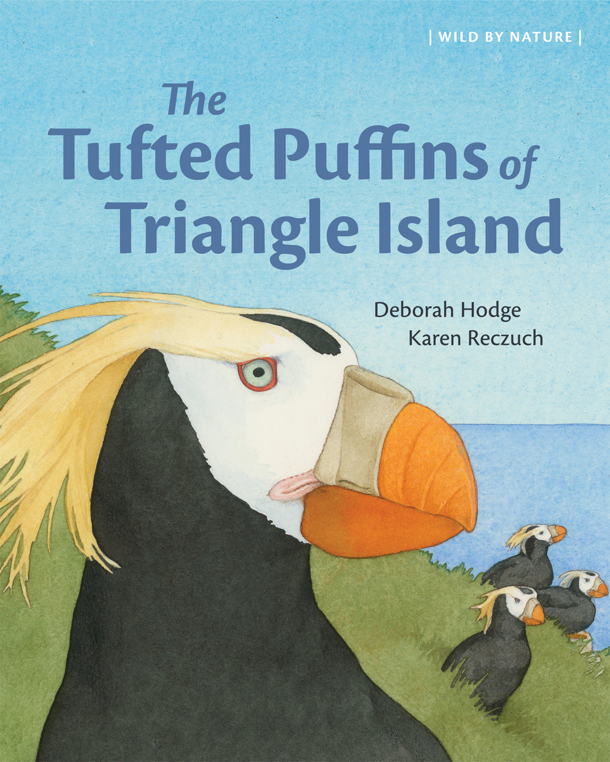 Cover image for The Tufted Puffins of Triangle Island ISBN 9781773067186