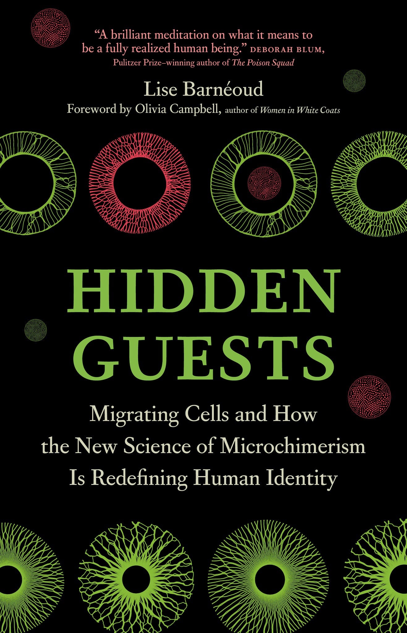 Cover image for Hidden Guests ISBN 9781778404559