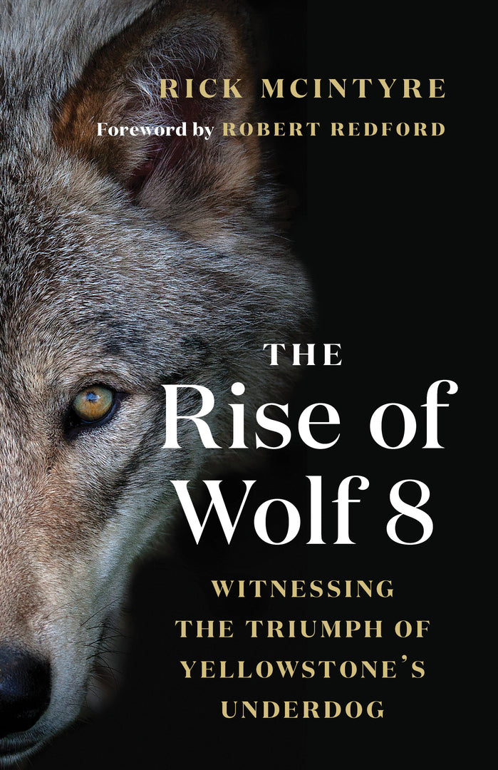 Cover image for The Rise of Wolf 8 ISBN 9781771645218