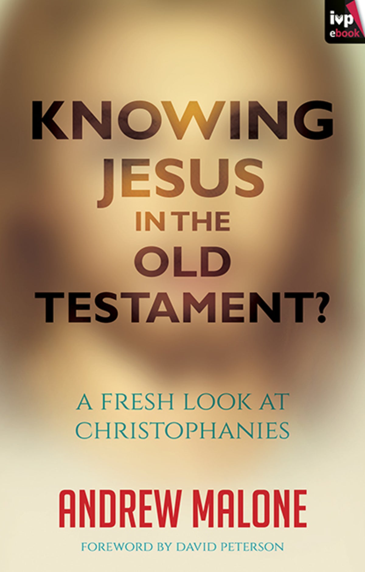 Cover image for Knowing Jesus in the Old Testament? ISBN 9781783593507