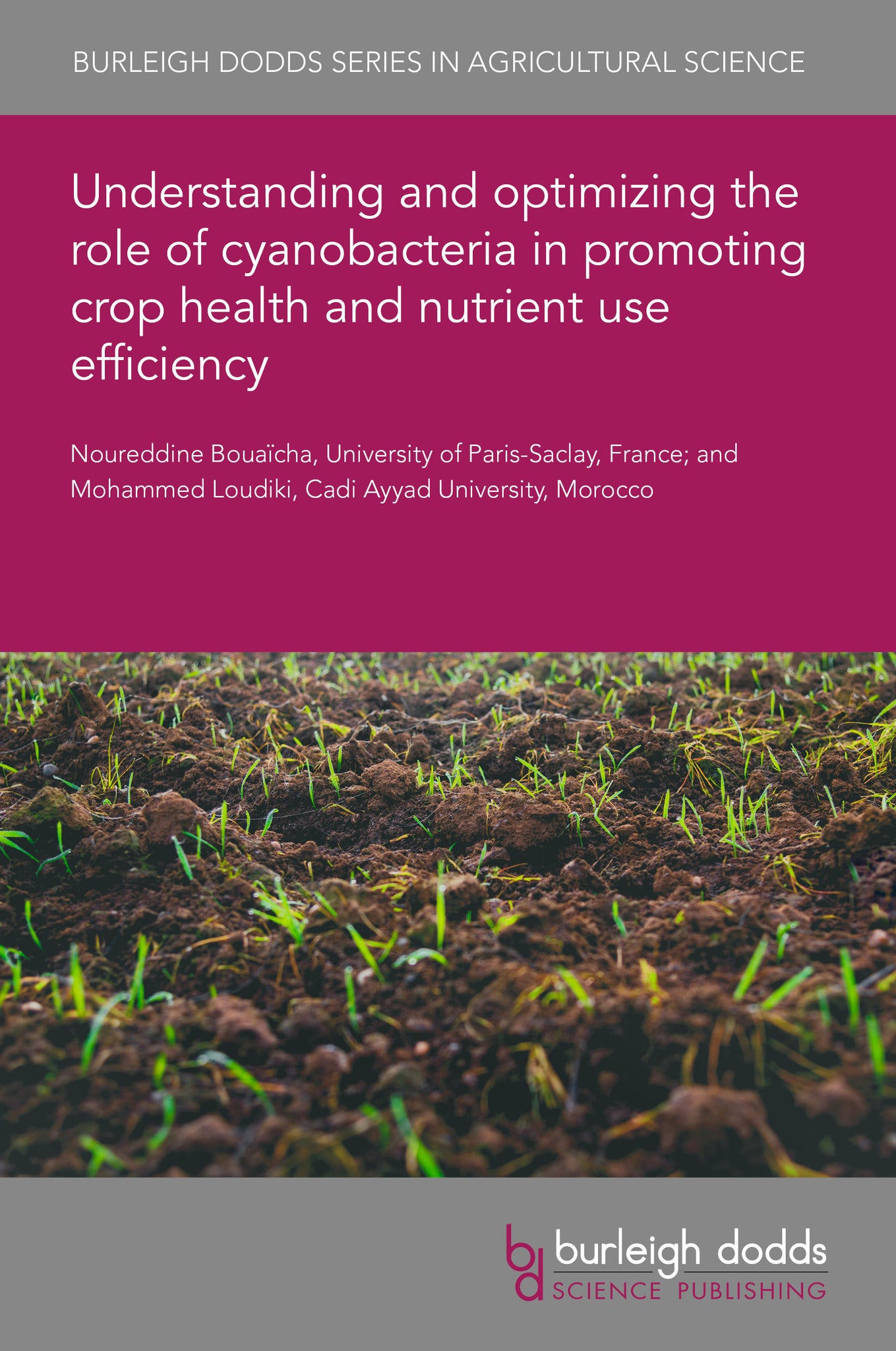 Cover image for Understanding and optimizing the role of cyanobacteria in promoting crop health and nutrient use efficiency ISBN 