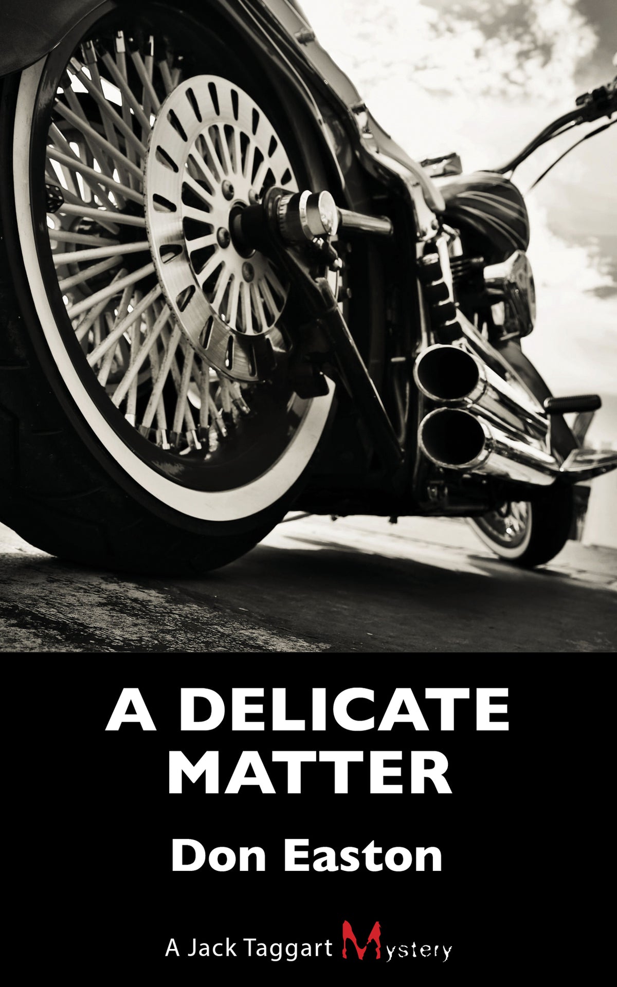 Cover image for A Delicate Matter ISBN 9781459734272