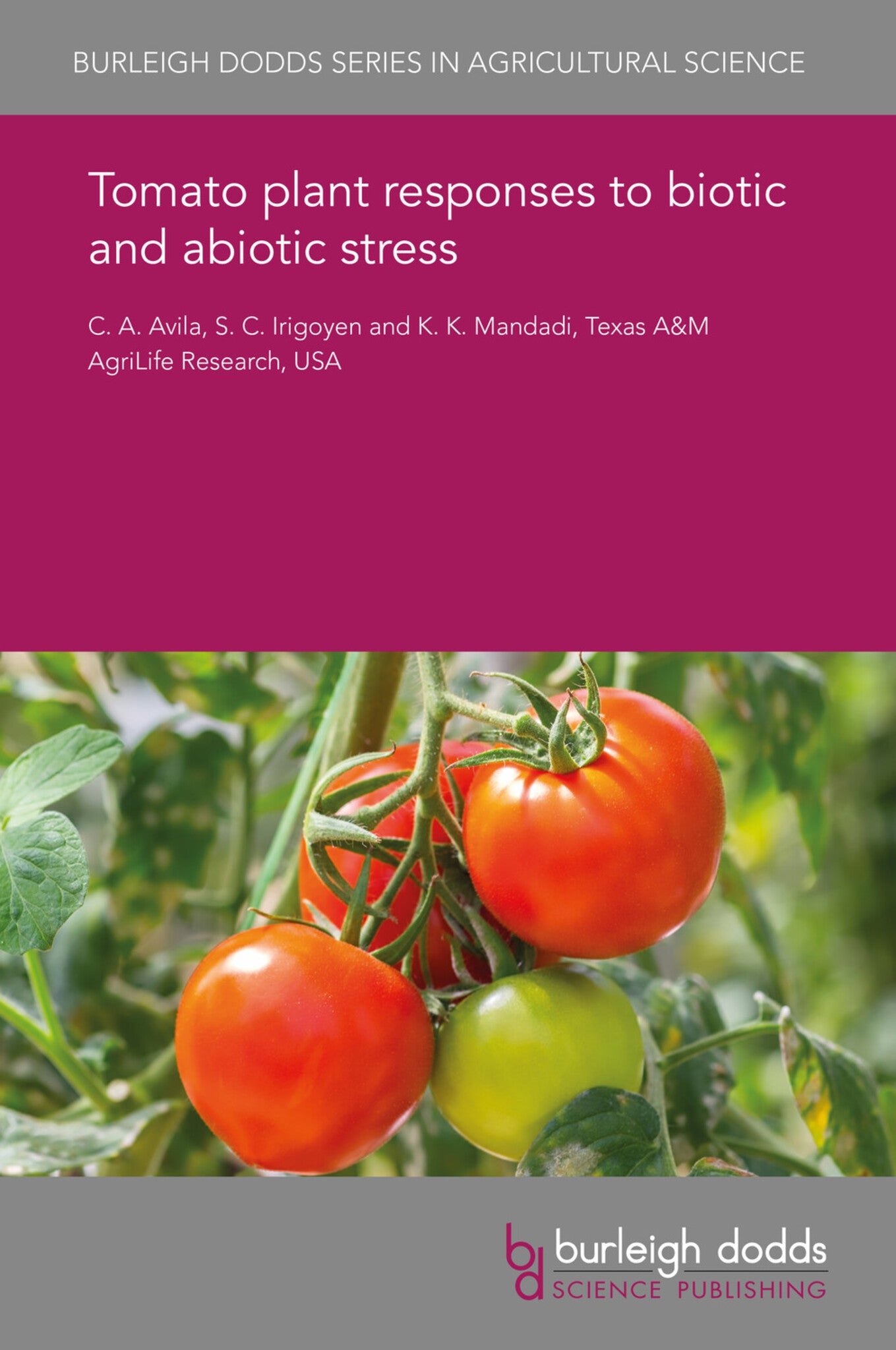 Cover image for Tomato plant responses to biotic and abiotic stress ISBN 9781838792800