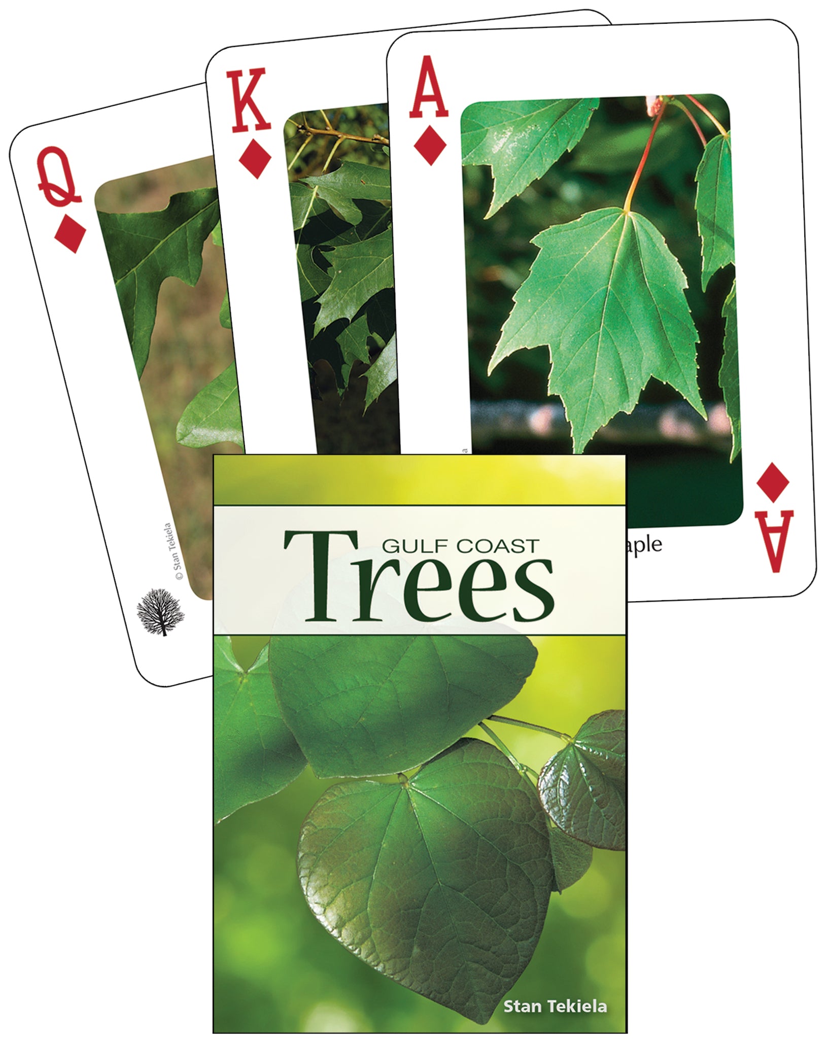 Trees of the Gulf Coast Playing Cards