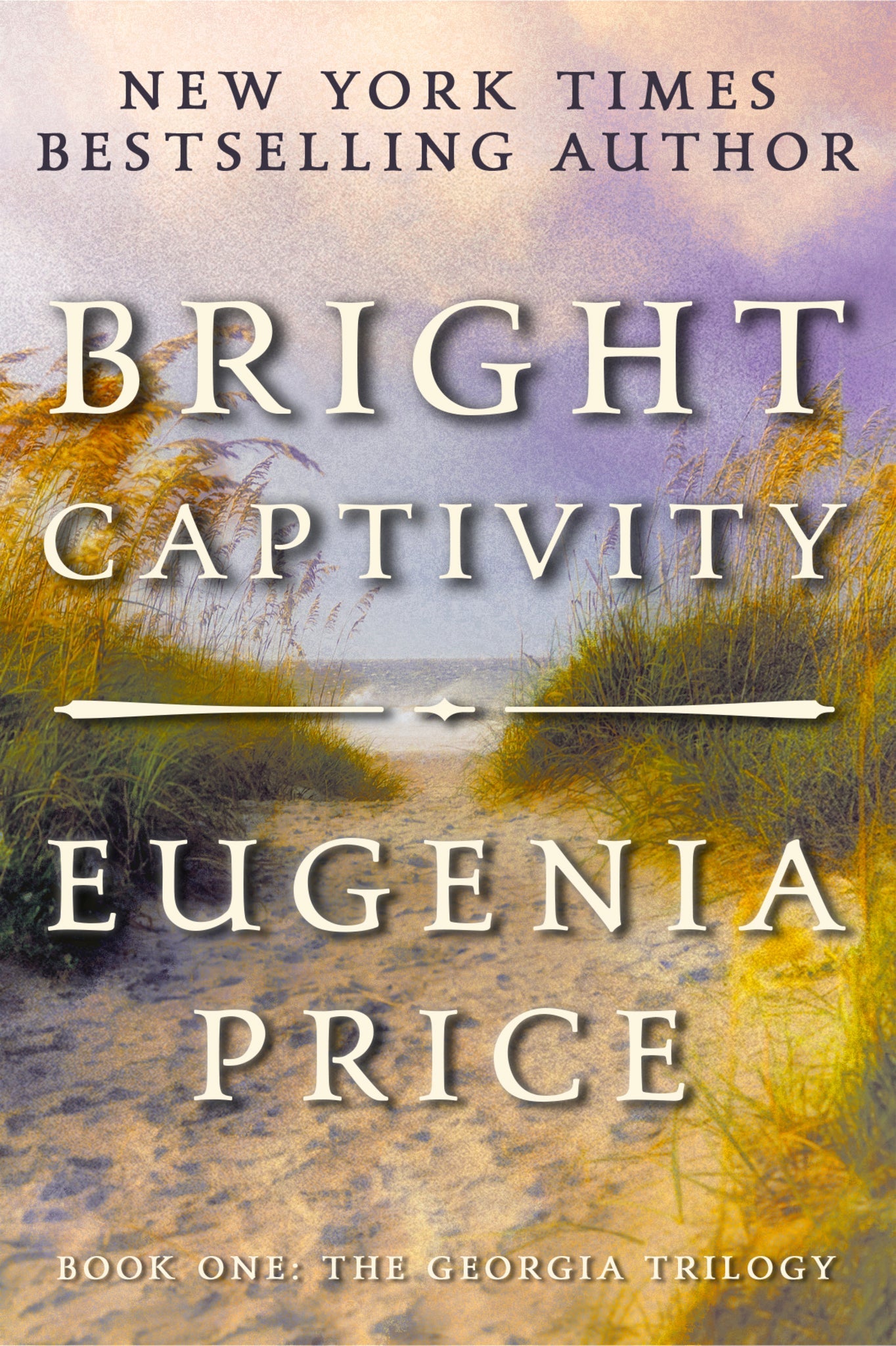 Cover image for Bright Captivity ISBN 9781683367468