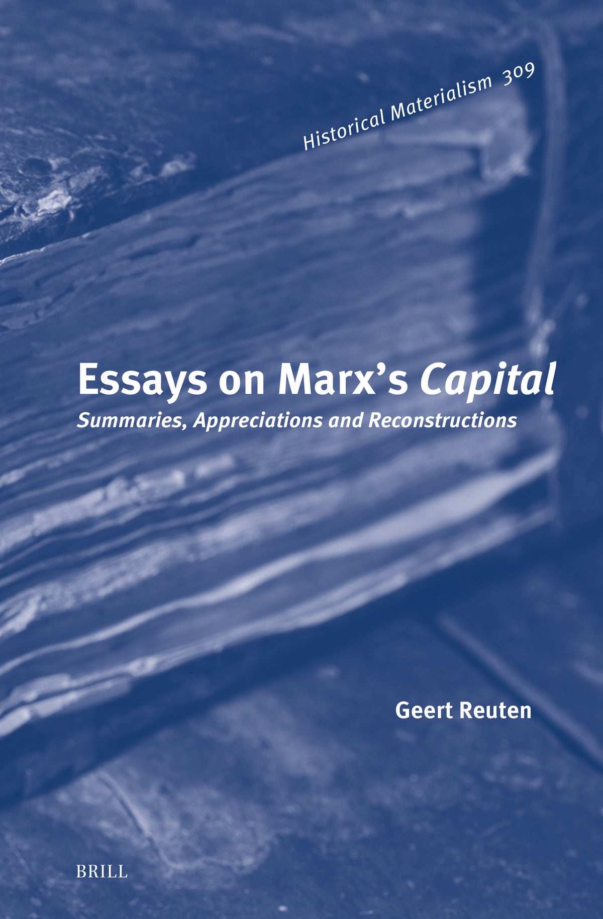 Essays on Marx’s Capital