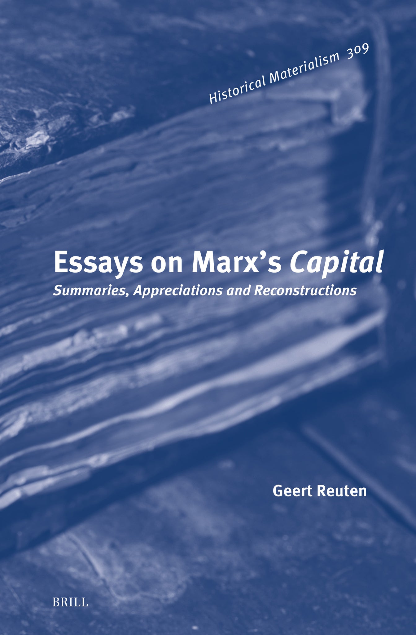 Essays on Marx’s Capital