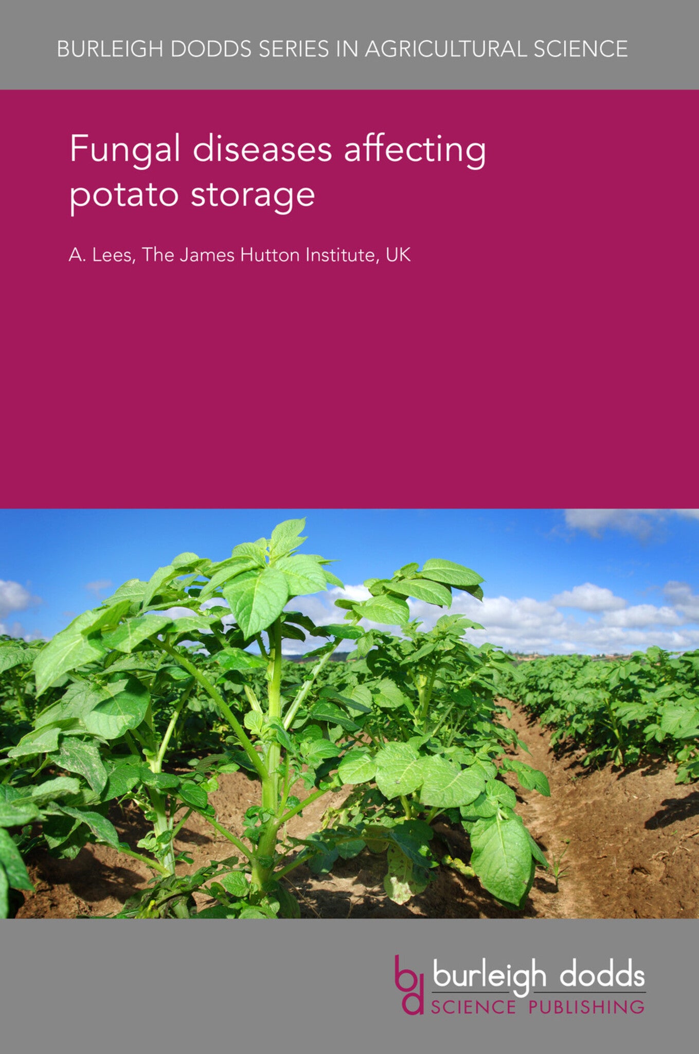Cover image for Fungal diseases affecting potato storage ISBN 9781786763839