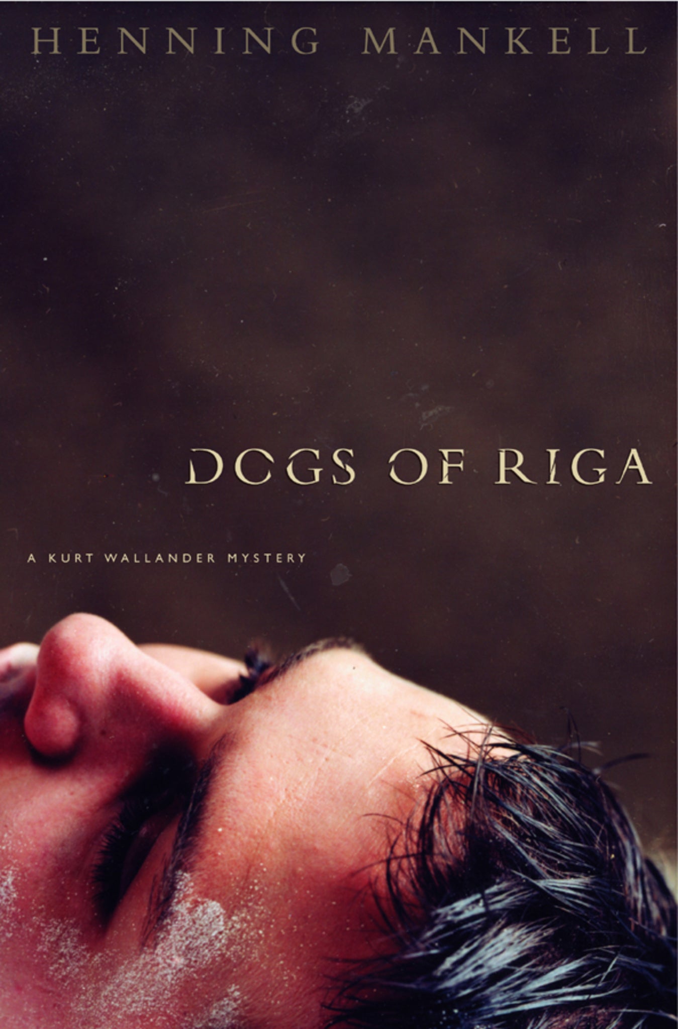 Cover image for The Dogs of Riga ISBN 9781595585653