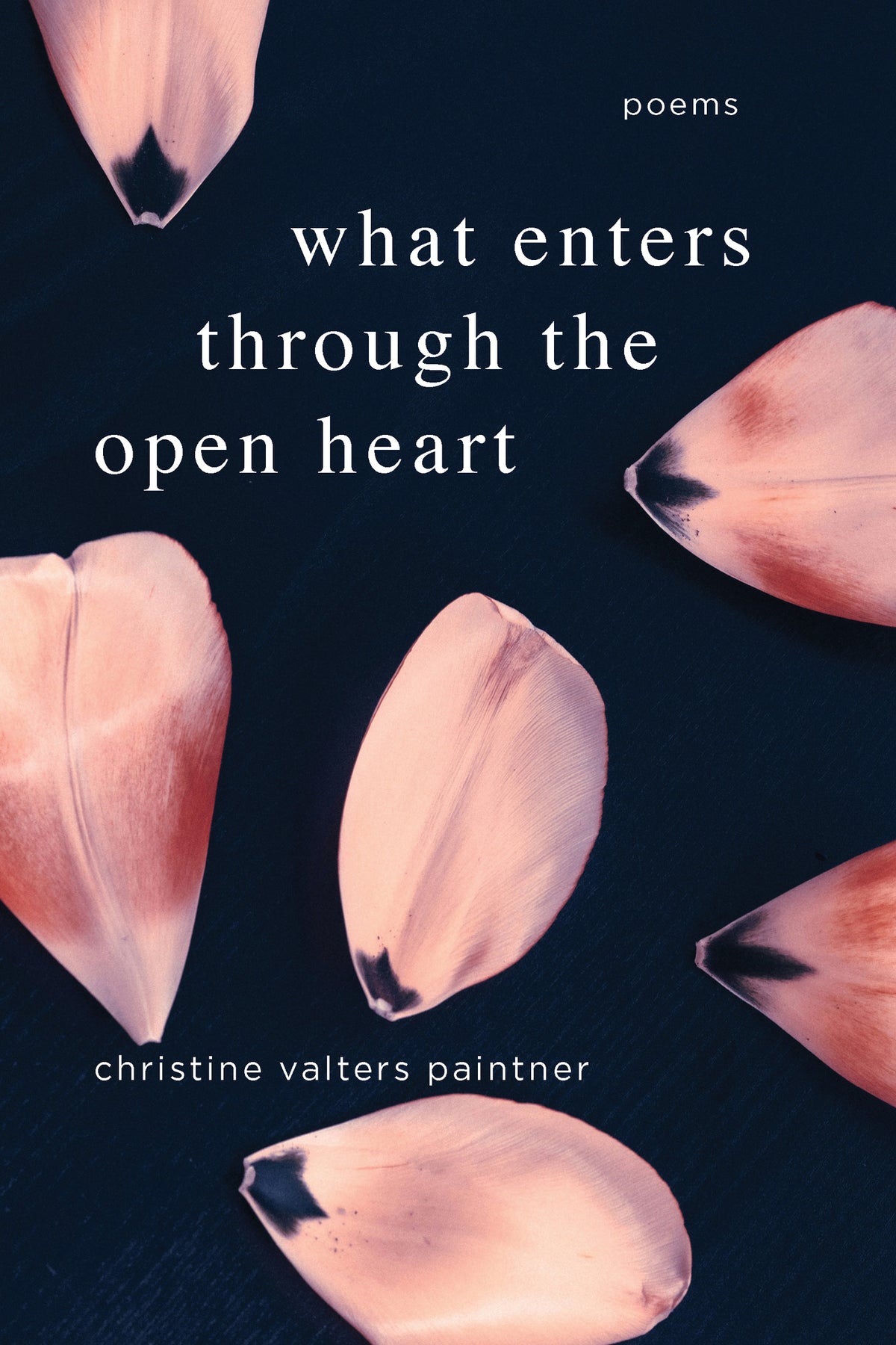 Cover image for What Enters through the Open Heart ISBN 9781966608554