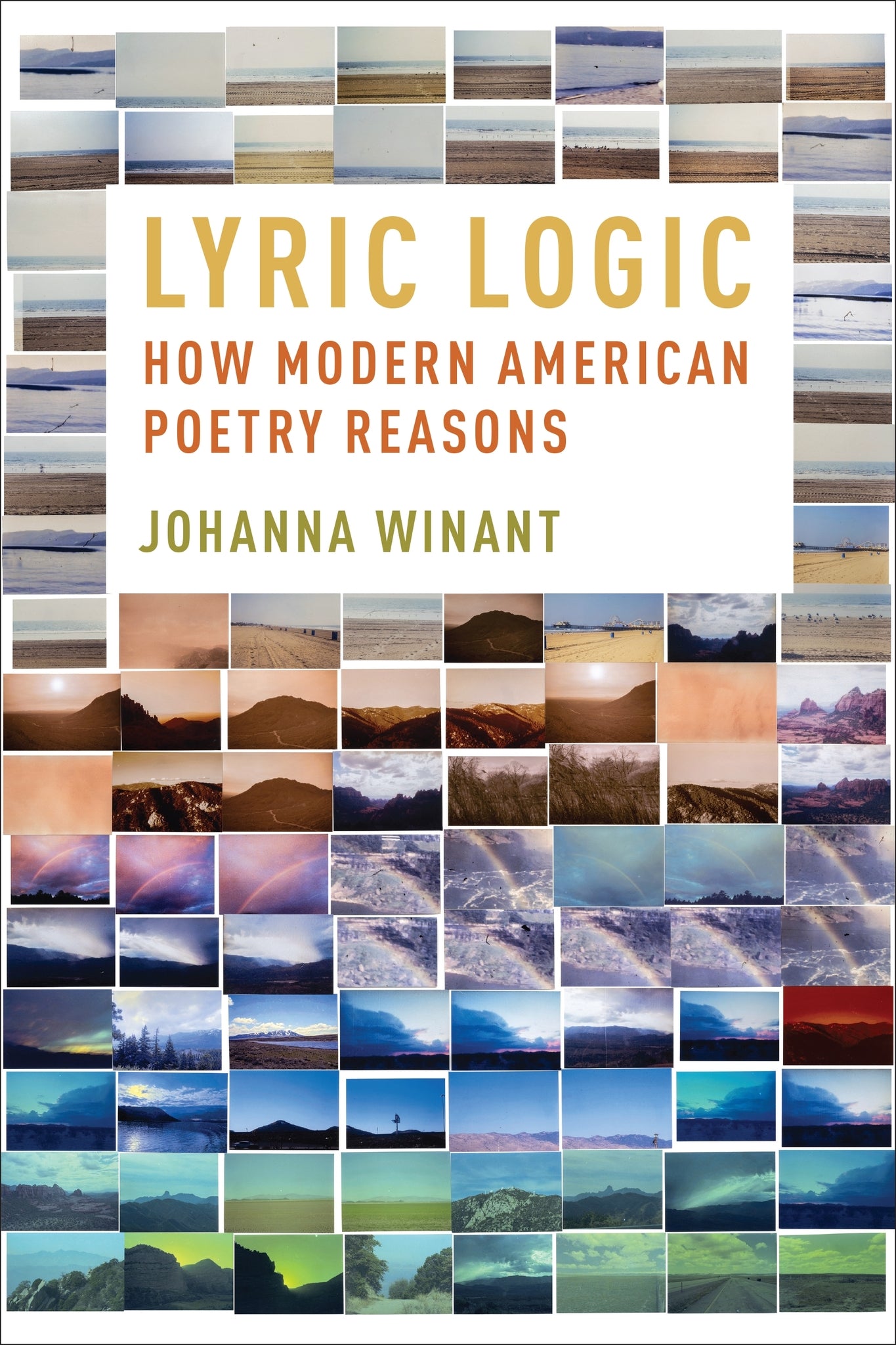 Cover image for Lyric Logic ISBN 9780231217460