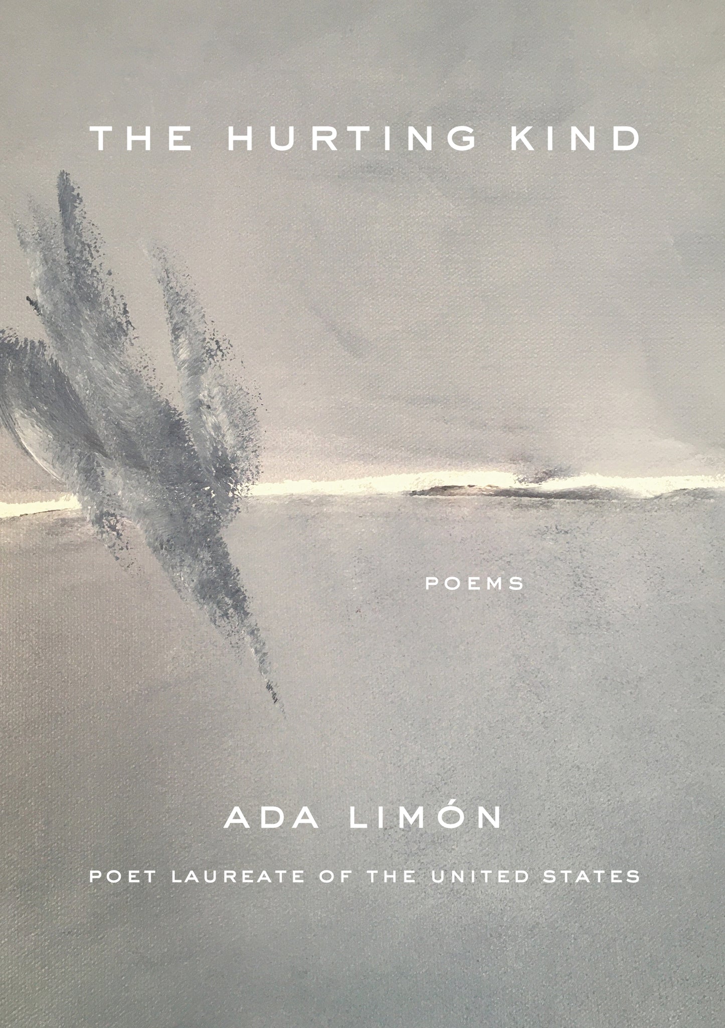 Cover image for The Hurting Kind ISBN 9781571315601