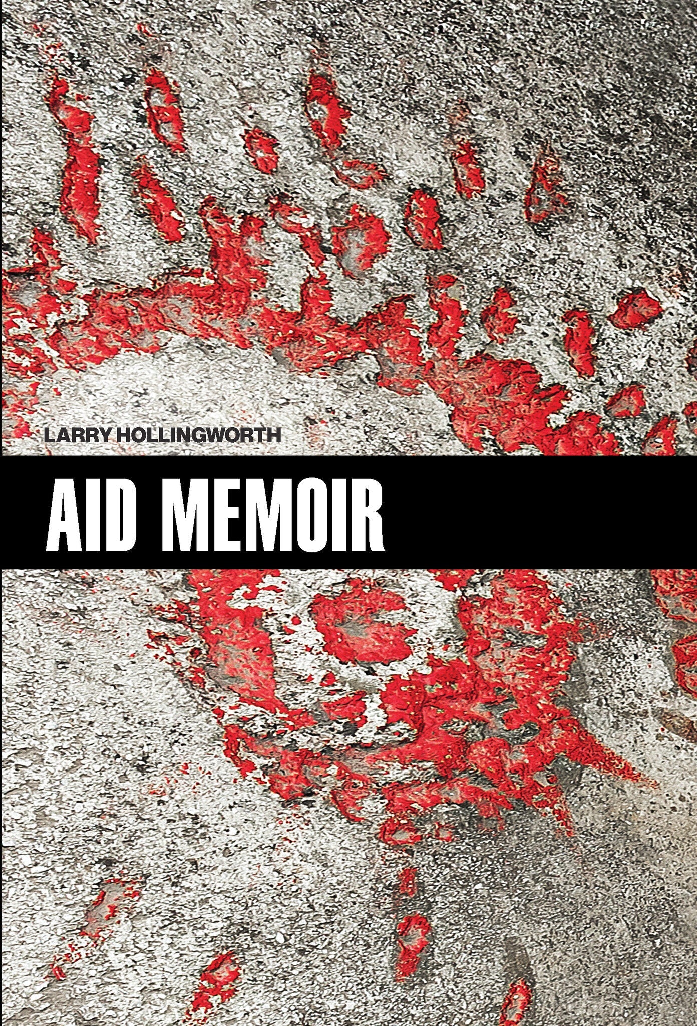 Cover image for Aid Memoir ISBN 9780823297030
