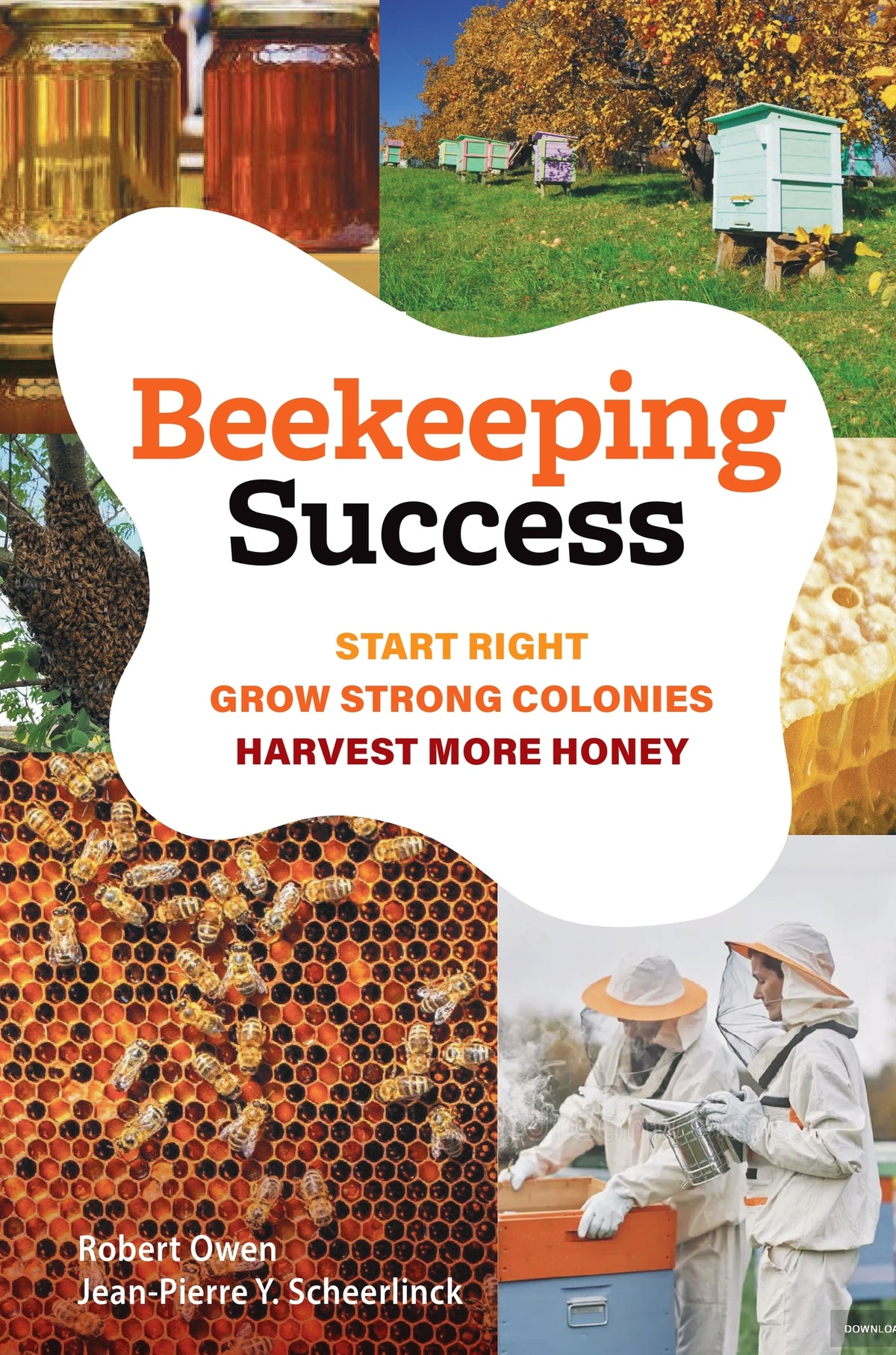 Cover image for Beekeeping Success ISBN 9781923011281
