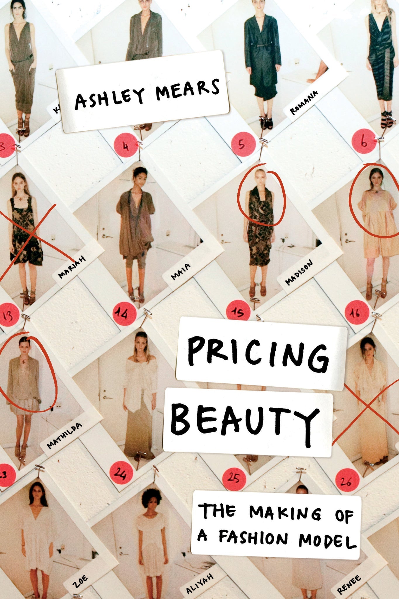 Cover image for Pricing Beauty ISBN 9780520950214