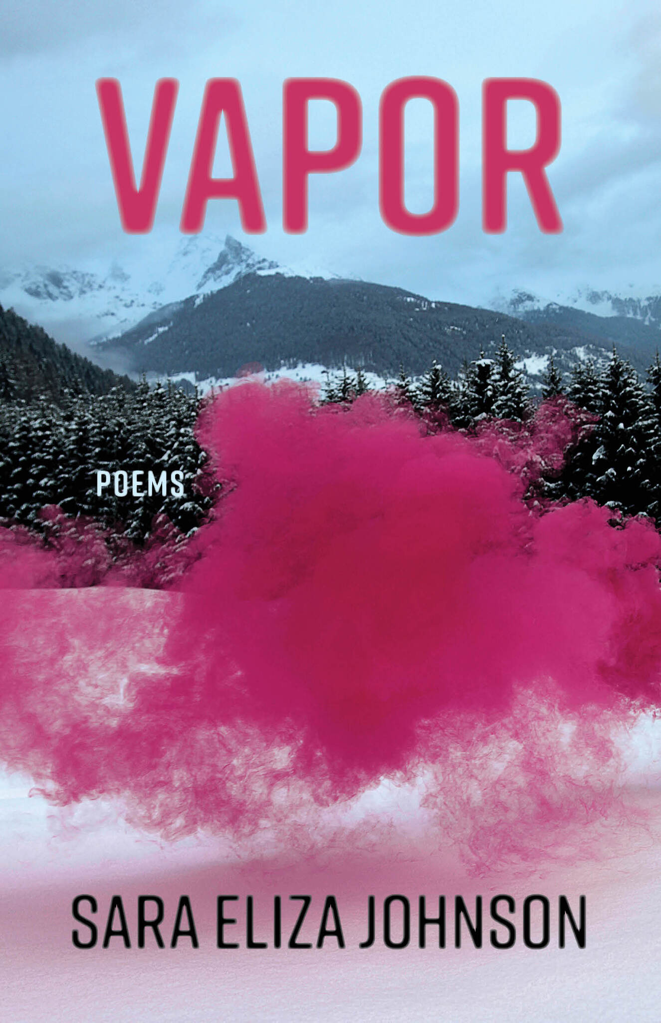 Cover image for Vapor ISBN 9781639550586