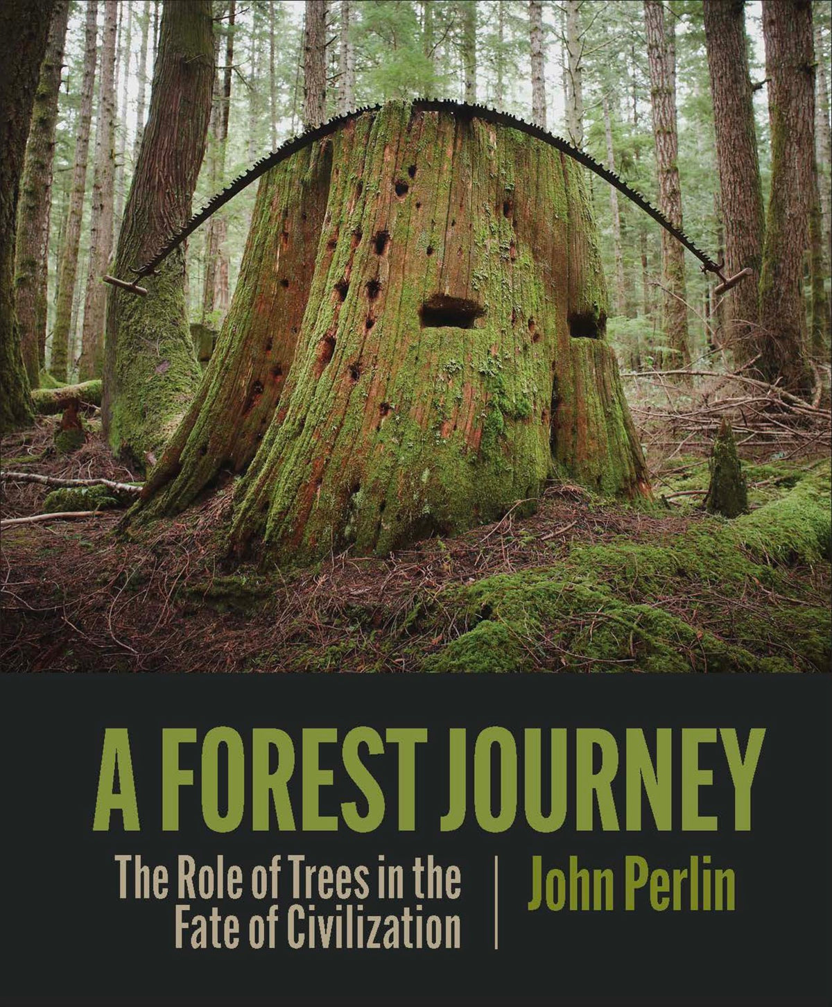 Cover image for A Forest Journey ISBN 