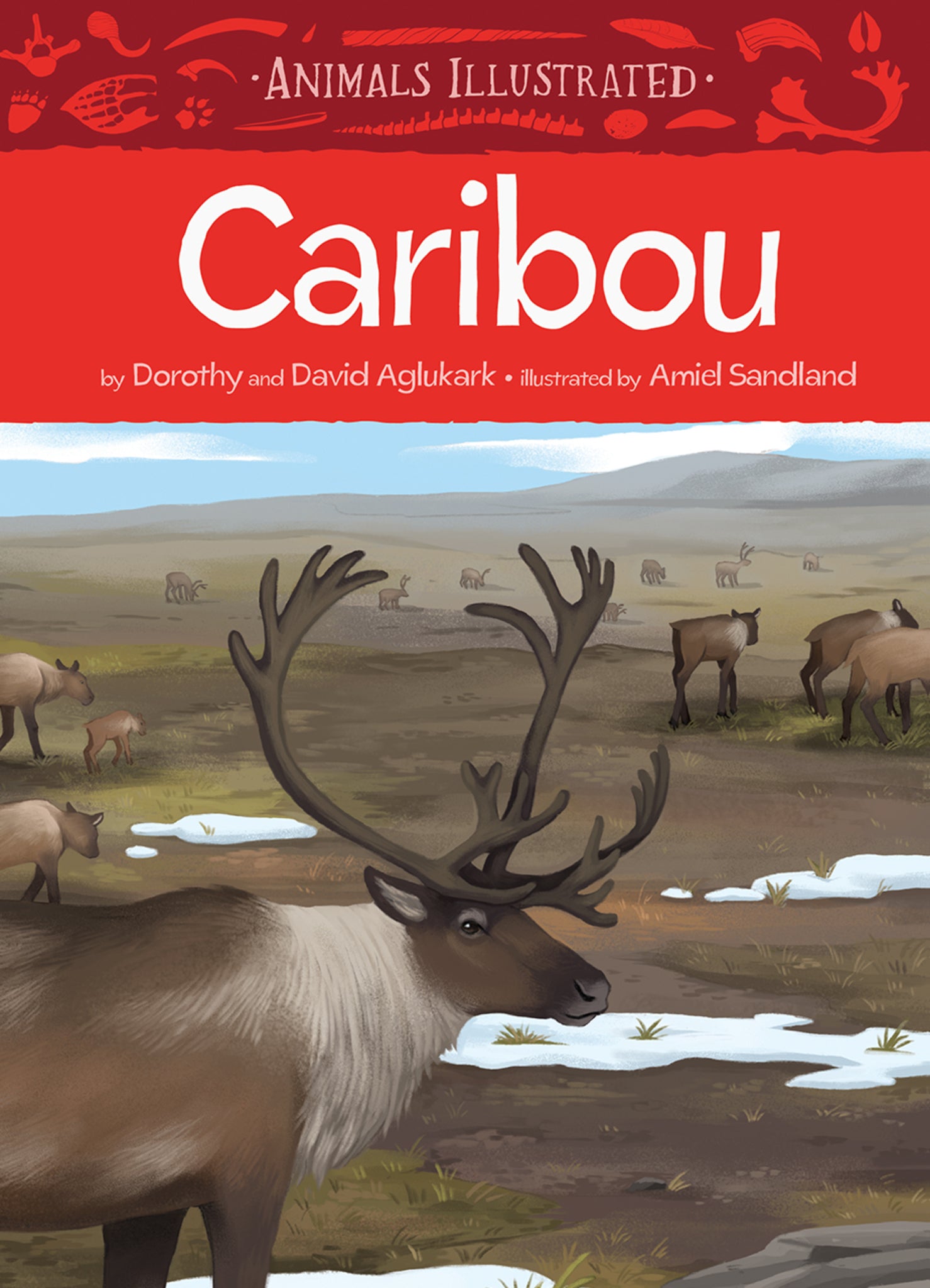 Cover image for Animals Illustrated: Caribou ISBN 9781772272345