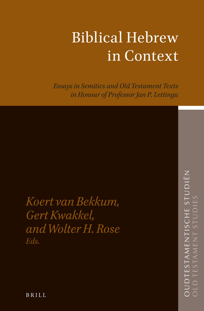 Cover image for Biblical Hebrew in Context ISBN 9789004380844