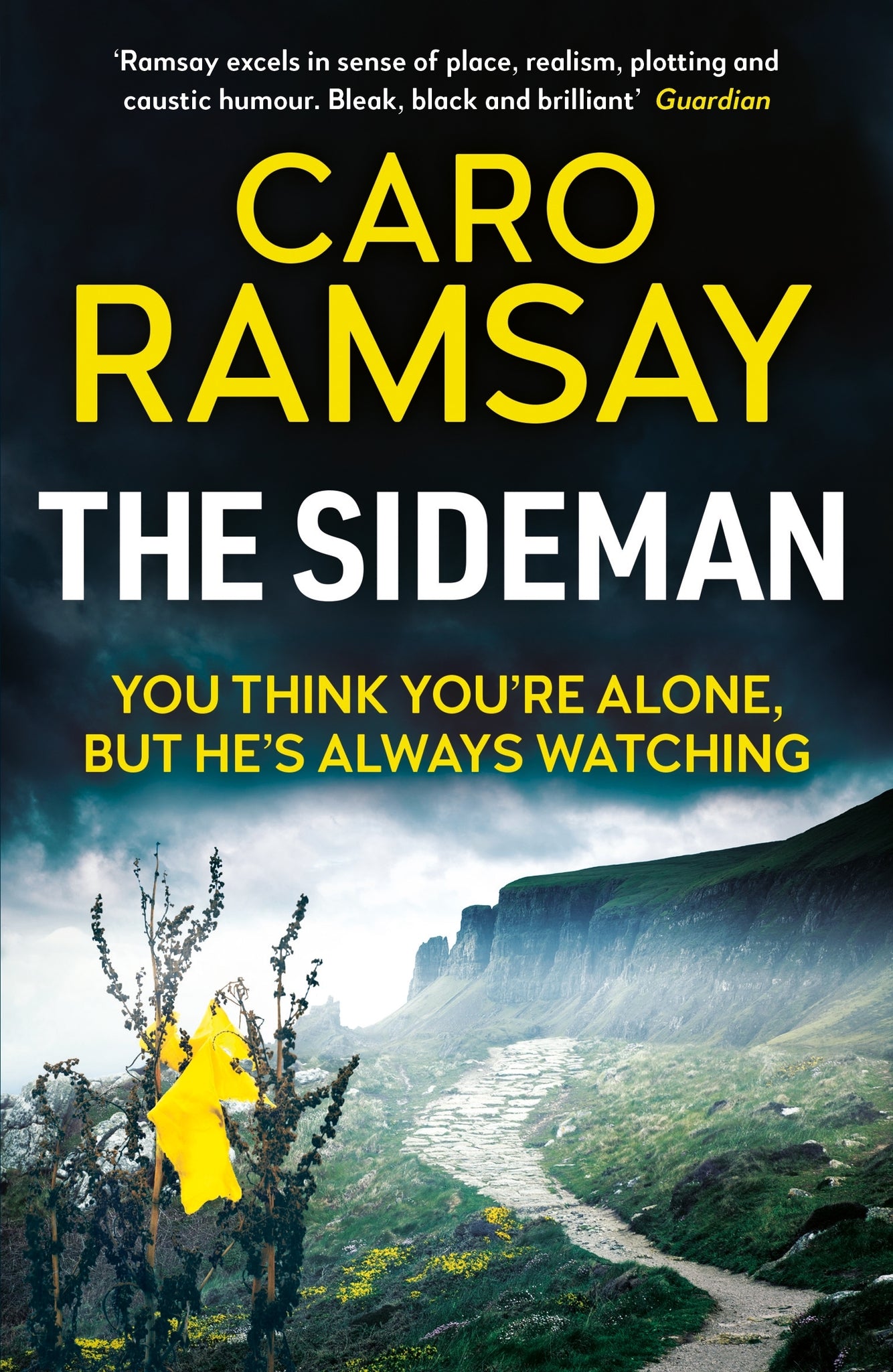Cover image for The Sideman ISBN 9781838851019