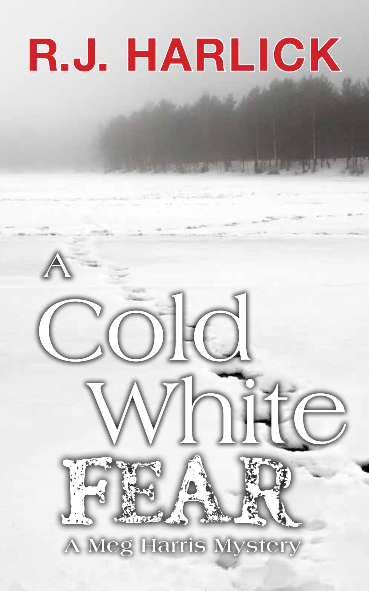 Cover image for A Cold White Fear ISBN 9781459731998