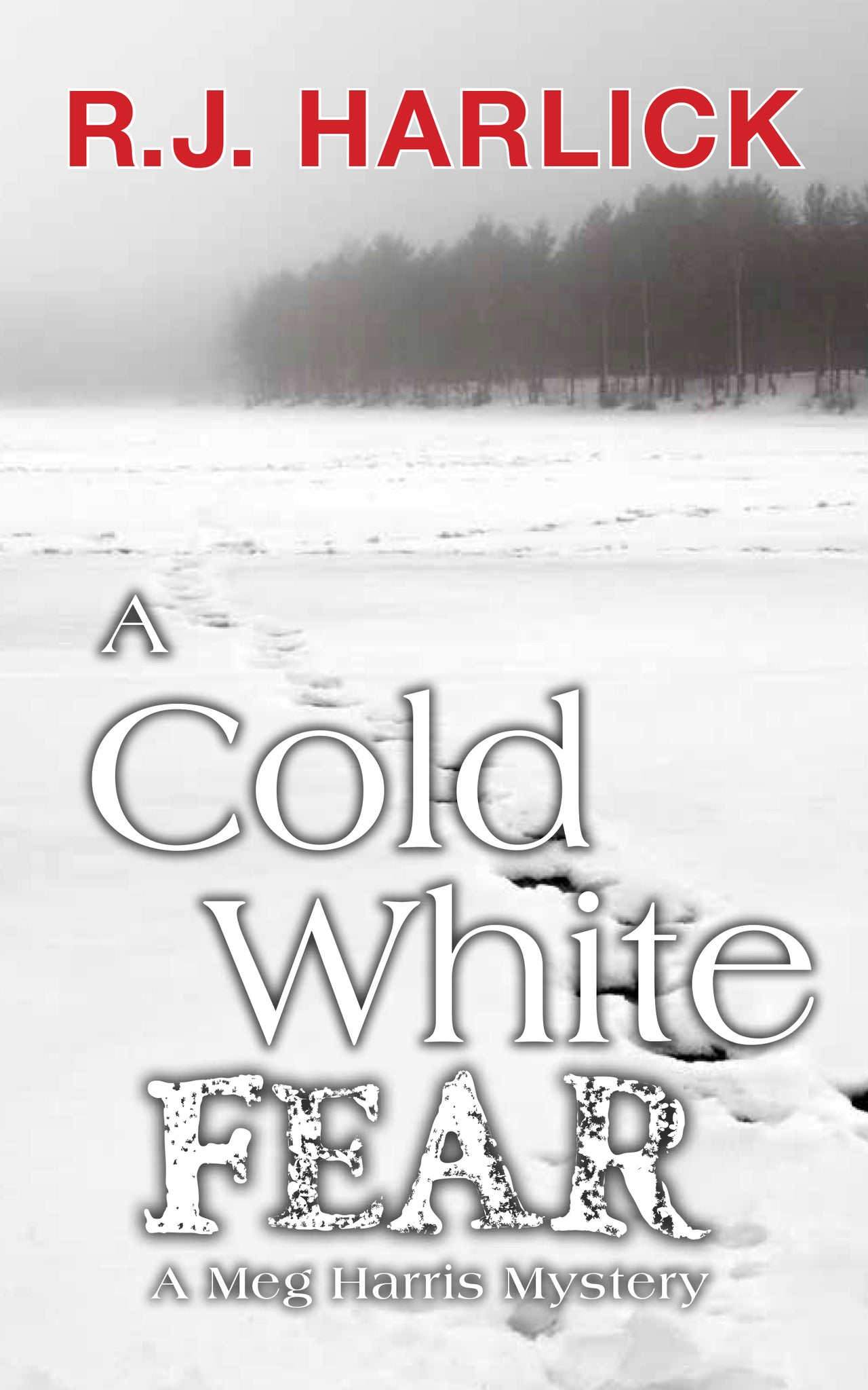 Cover image for A Cold White Fear ISBN 9781459731998