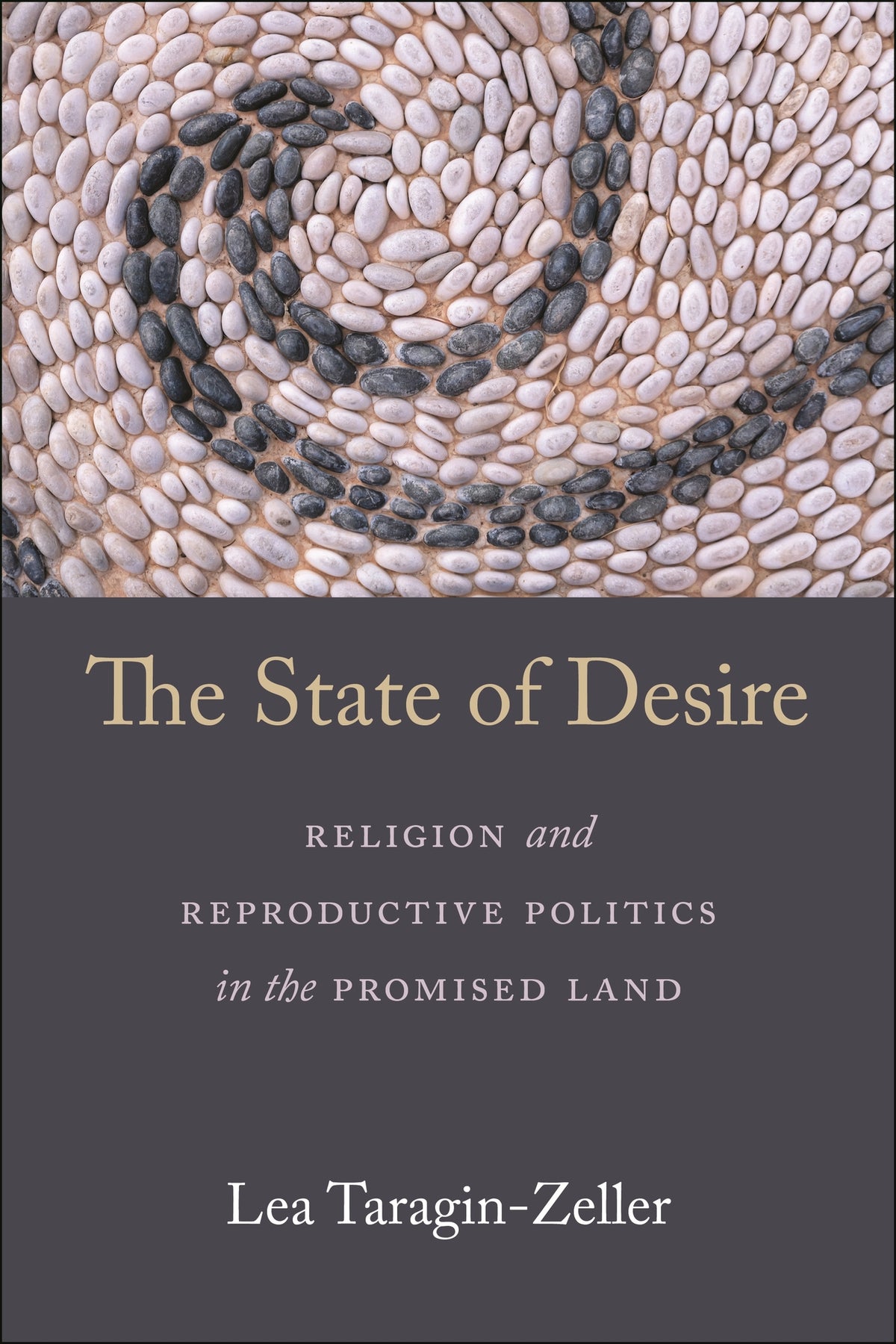 Cover image for The State of Desire ISBN 9781479817375