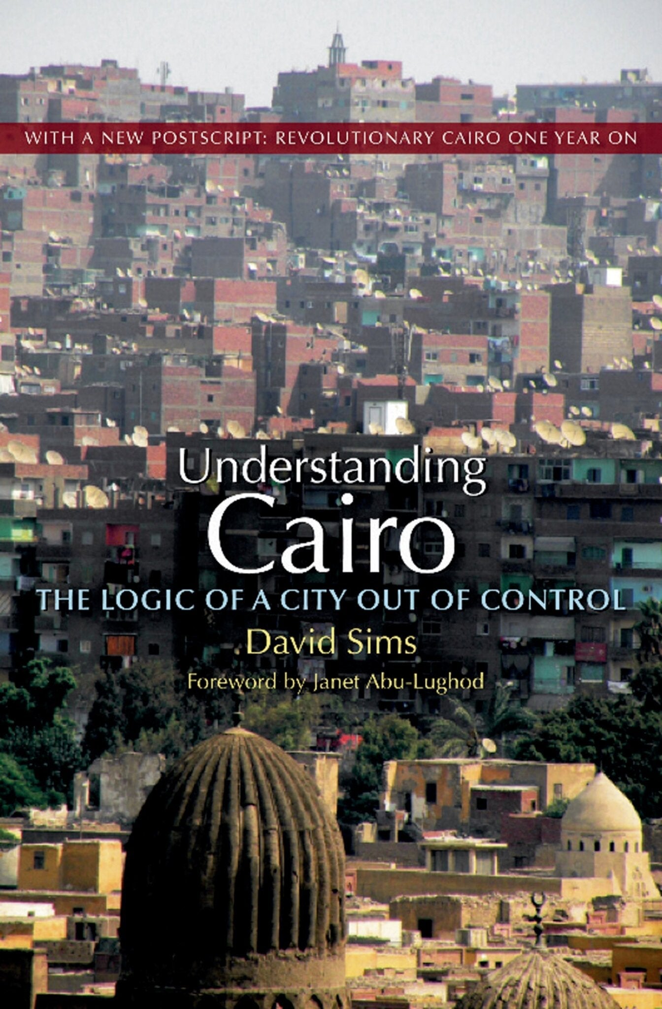 Cover image for Understanding Cairo: ISBN 9781617973888