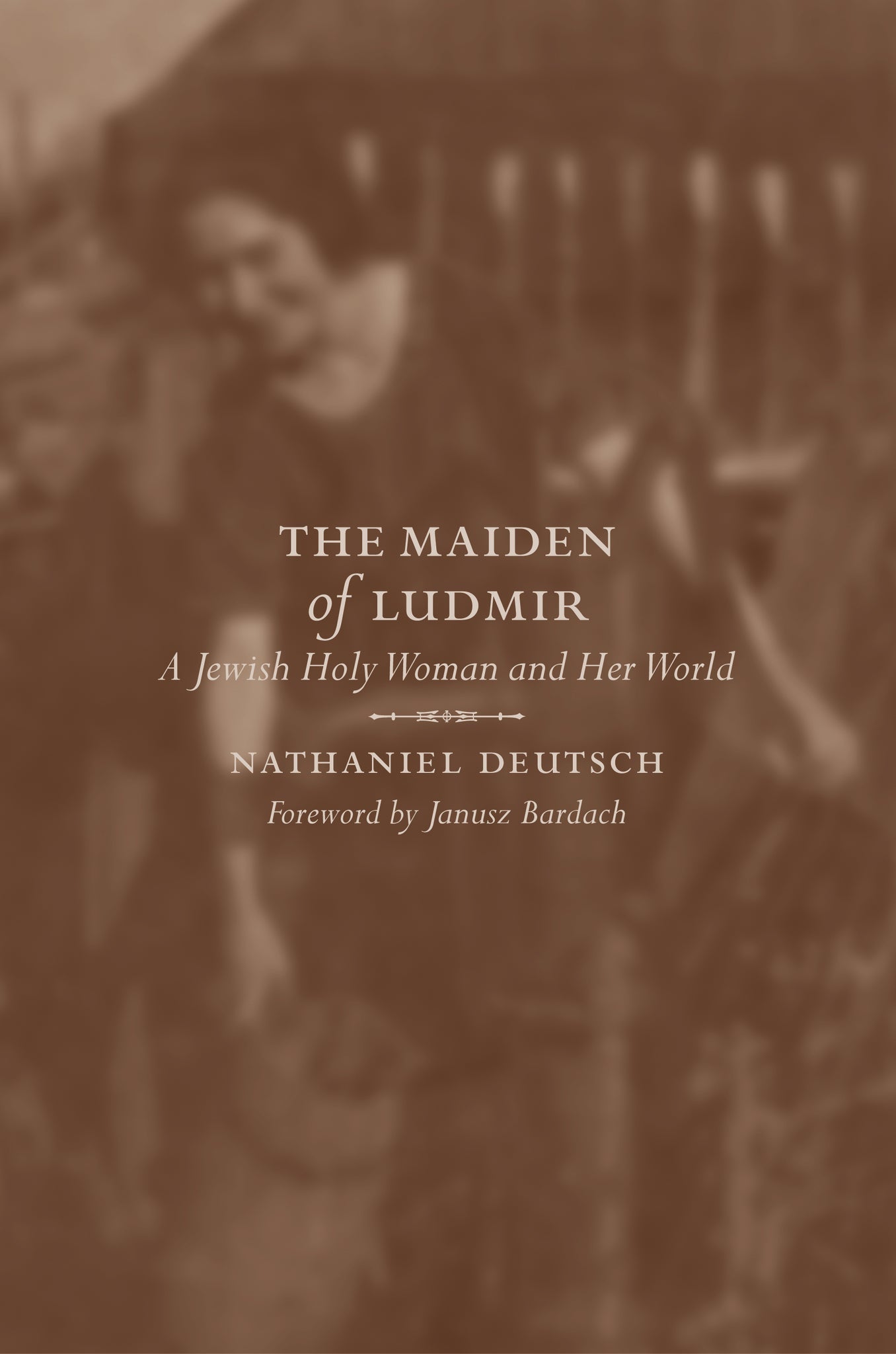 Cover image for The Maiden of Ludmir ISBN 9780520927971
