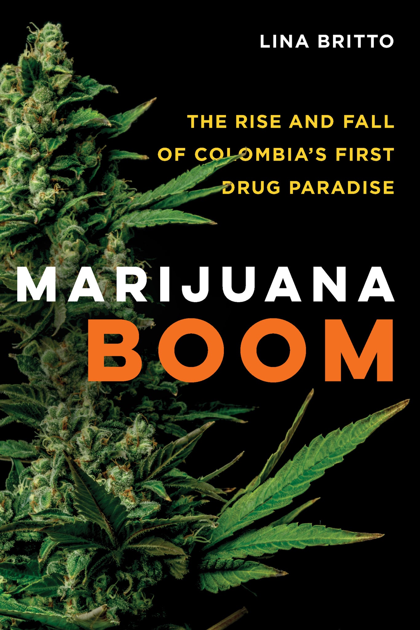 Cover image for Marijuana Boom ISBN 9780520325470