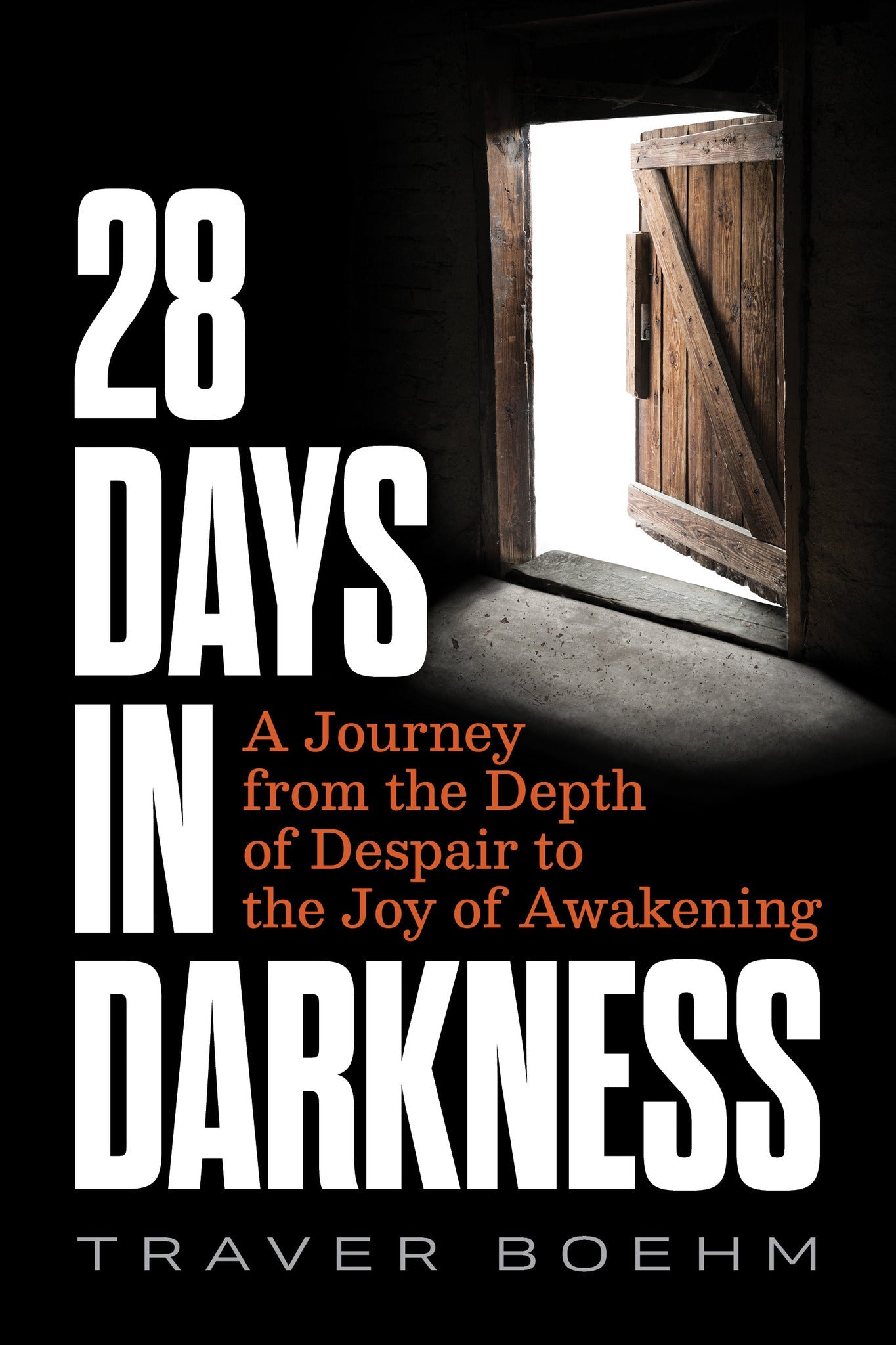 Cover image for 28 Days in Darkness ISBN 9781628605174