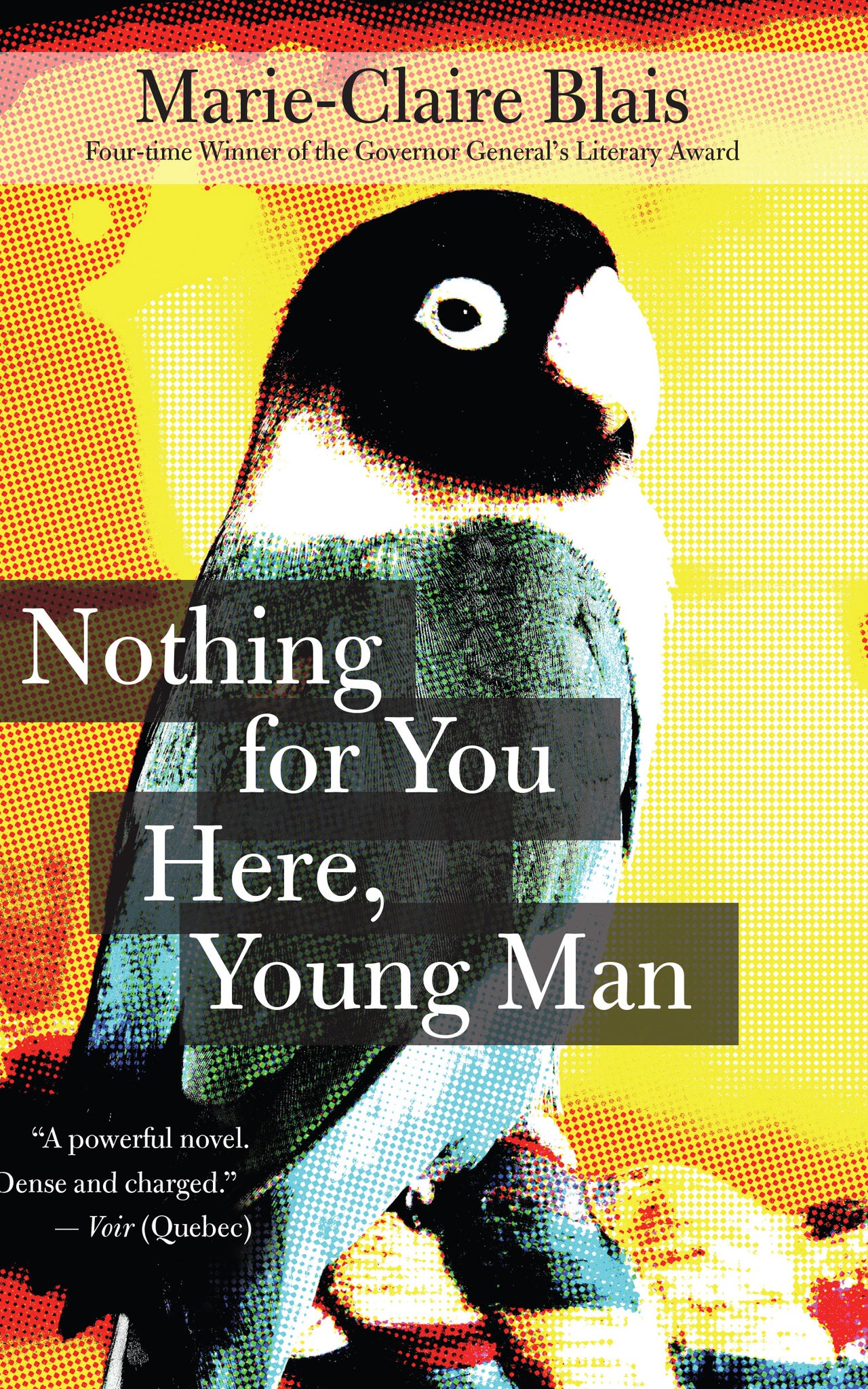 Cover image for Nothing for You Here, Young Man ISBN 9781770893573