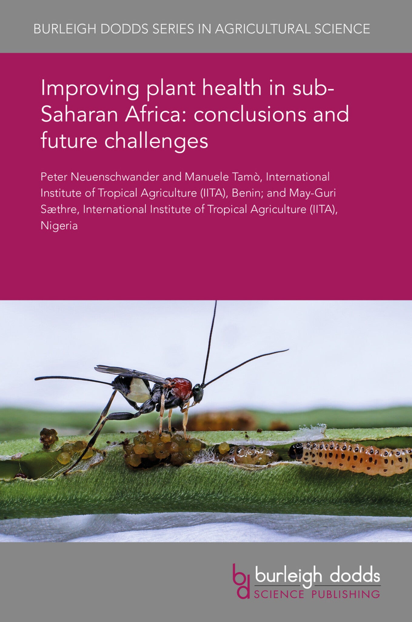 Cover image for Improving plant health in sub-Saharan Africa: conclusions and future challenges ISBN 9781838797669