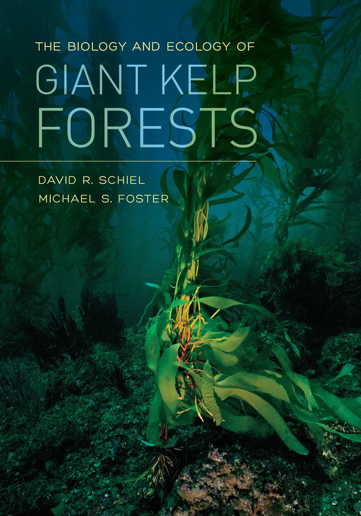 Cover image for The Biology and Ecology of Giant Kelp Forests ISBN 9780520961098