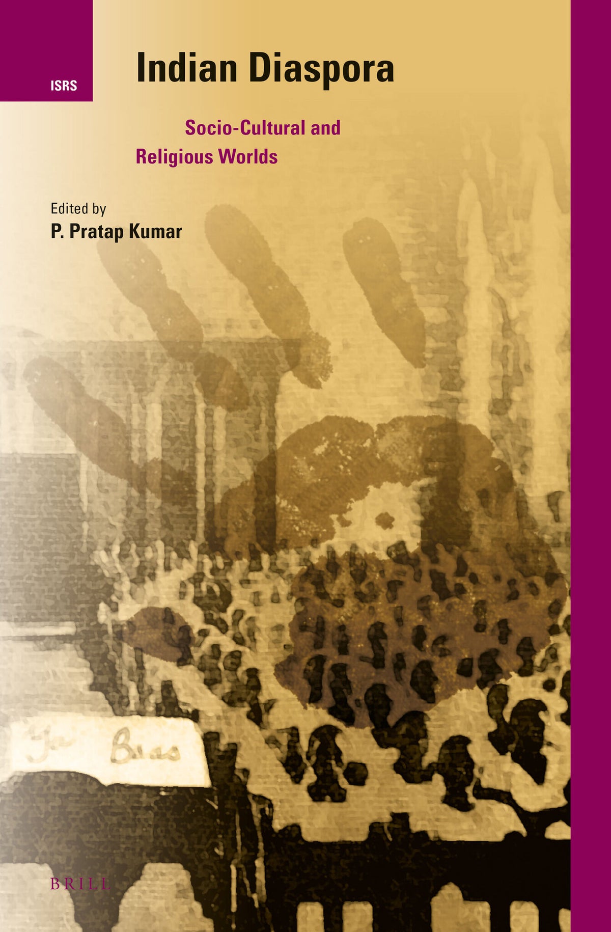 Cover image for Indian Diaspora ISBN 9789004287983