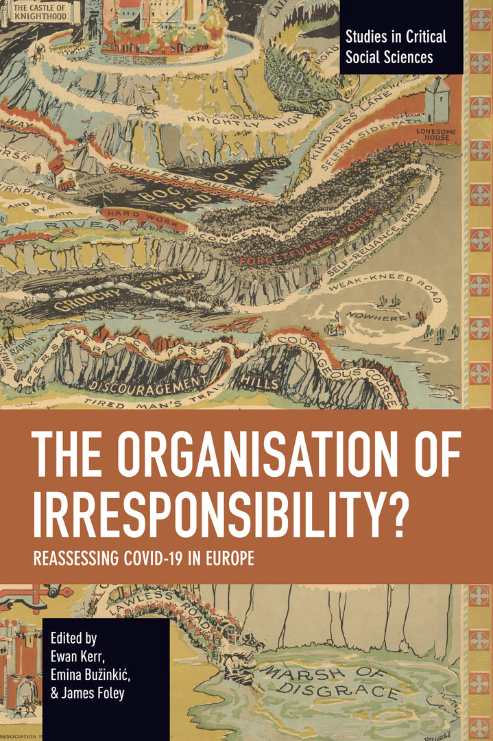 Cover image for The Organisation of Irresponsibility? ISBN 9798888909218