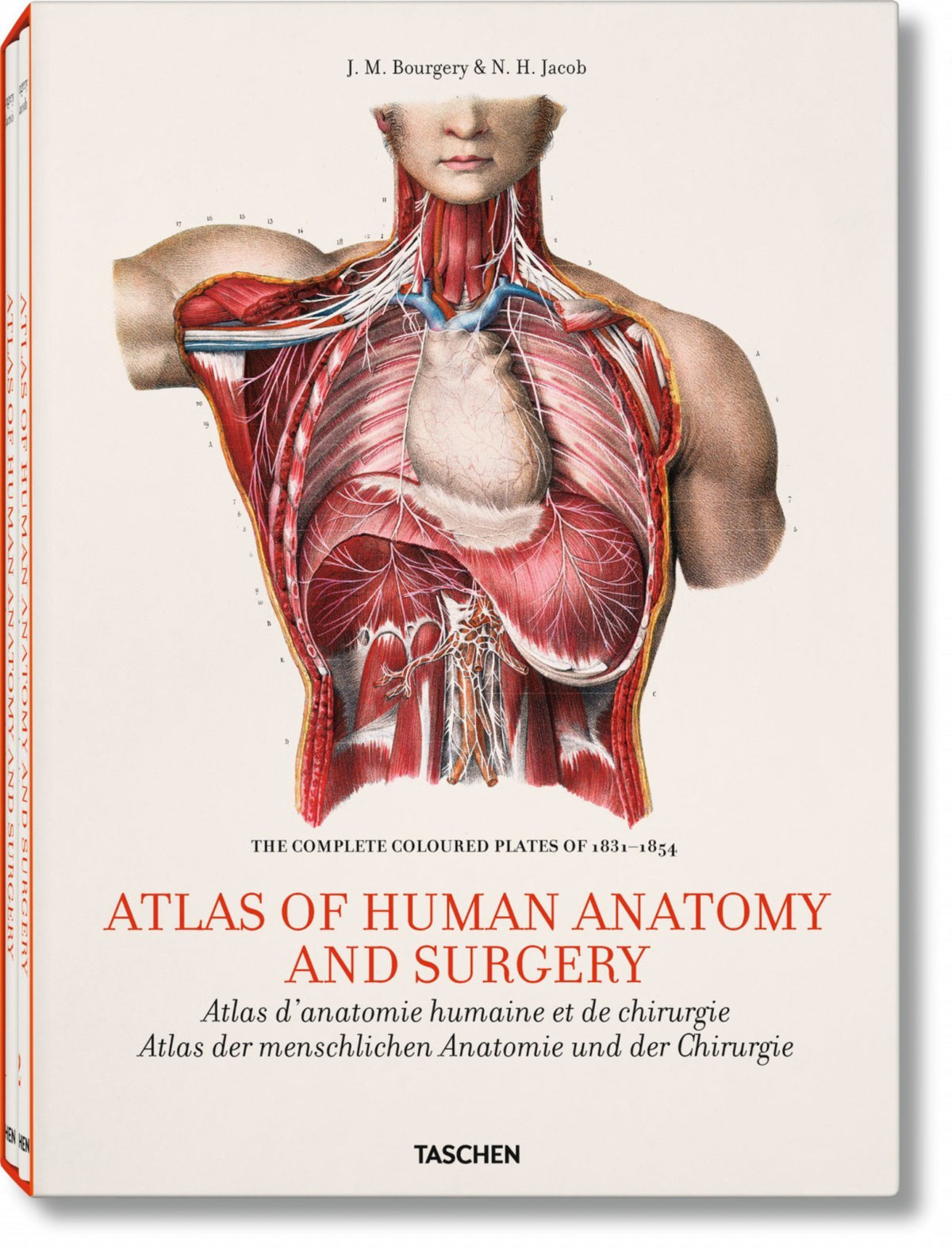Cover image for Bourgery. Atlas of Human Anatomy and Surgery ISBN 9783836531061