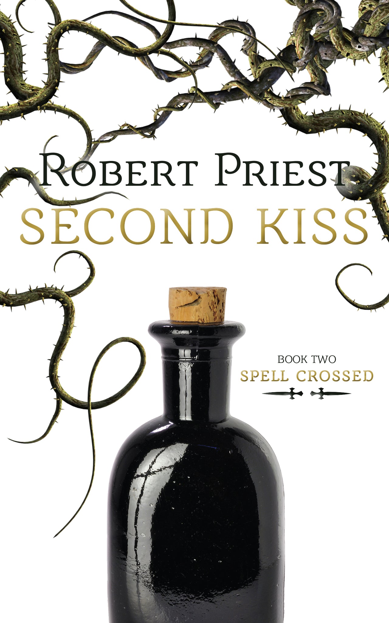 Cover image for Second Kiss ISBN 9781459730205