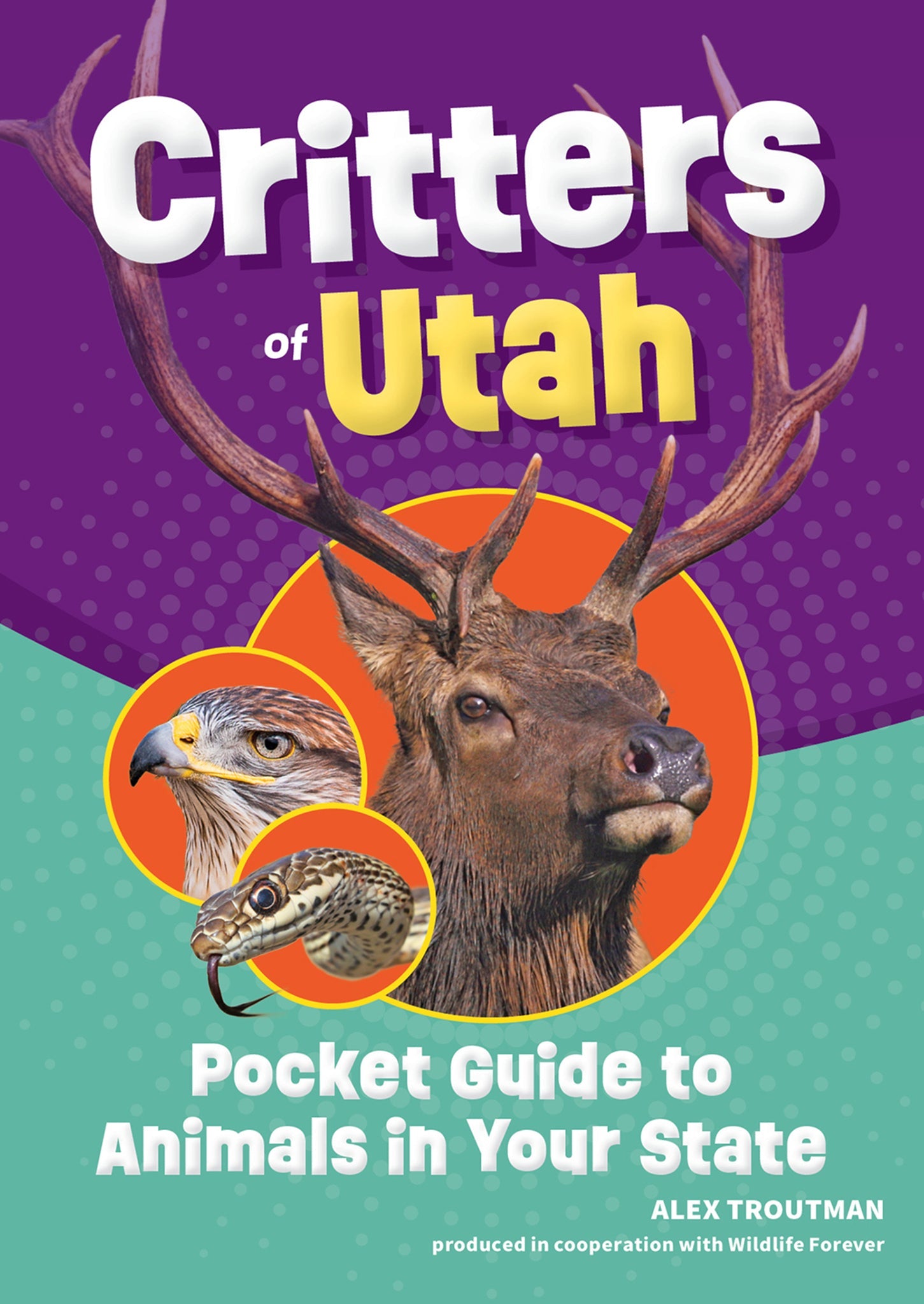 Cover image for Critters of Utah ISBN 9781647556587