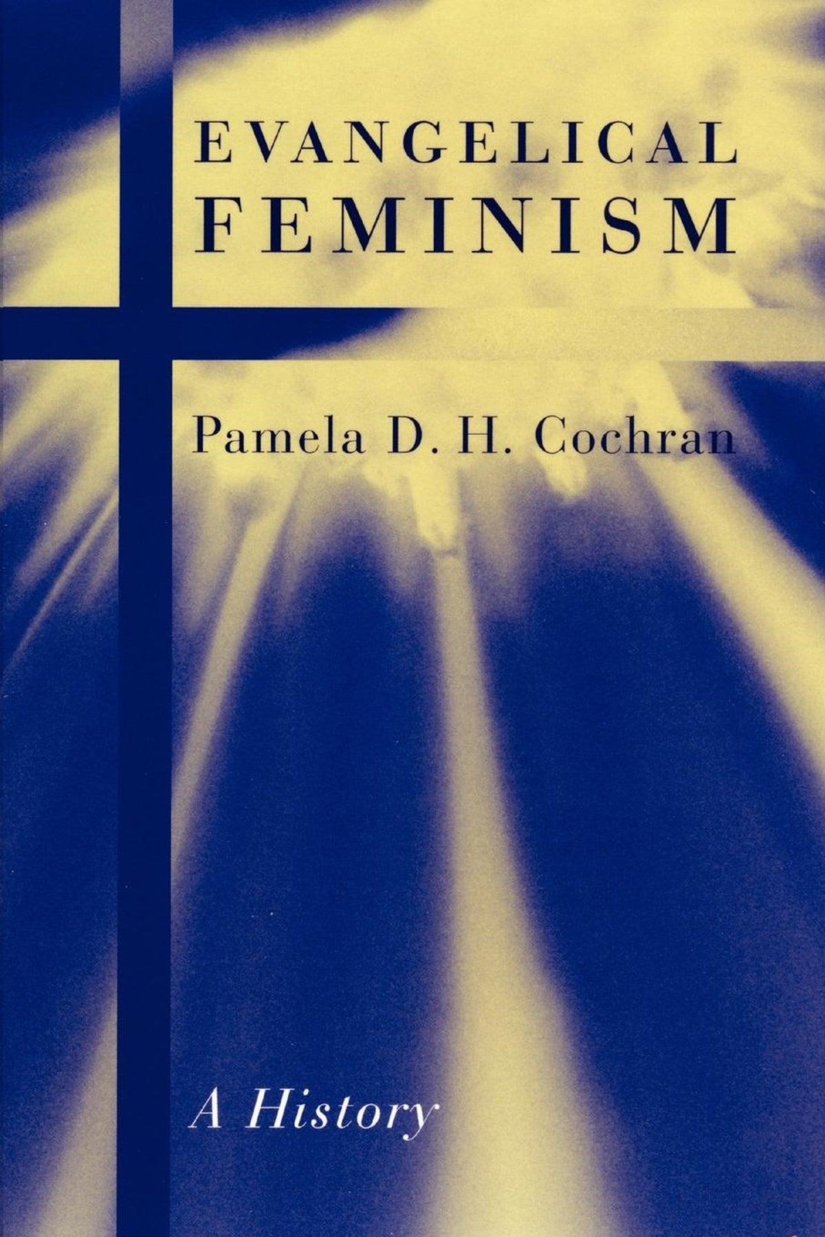 Cover image for Evangelical Feminism ISBN 9780814716502