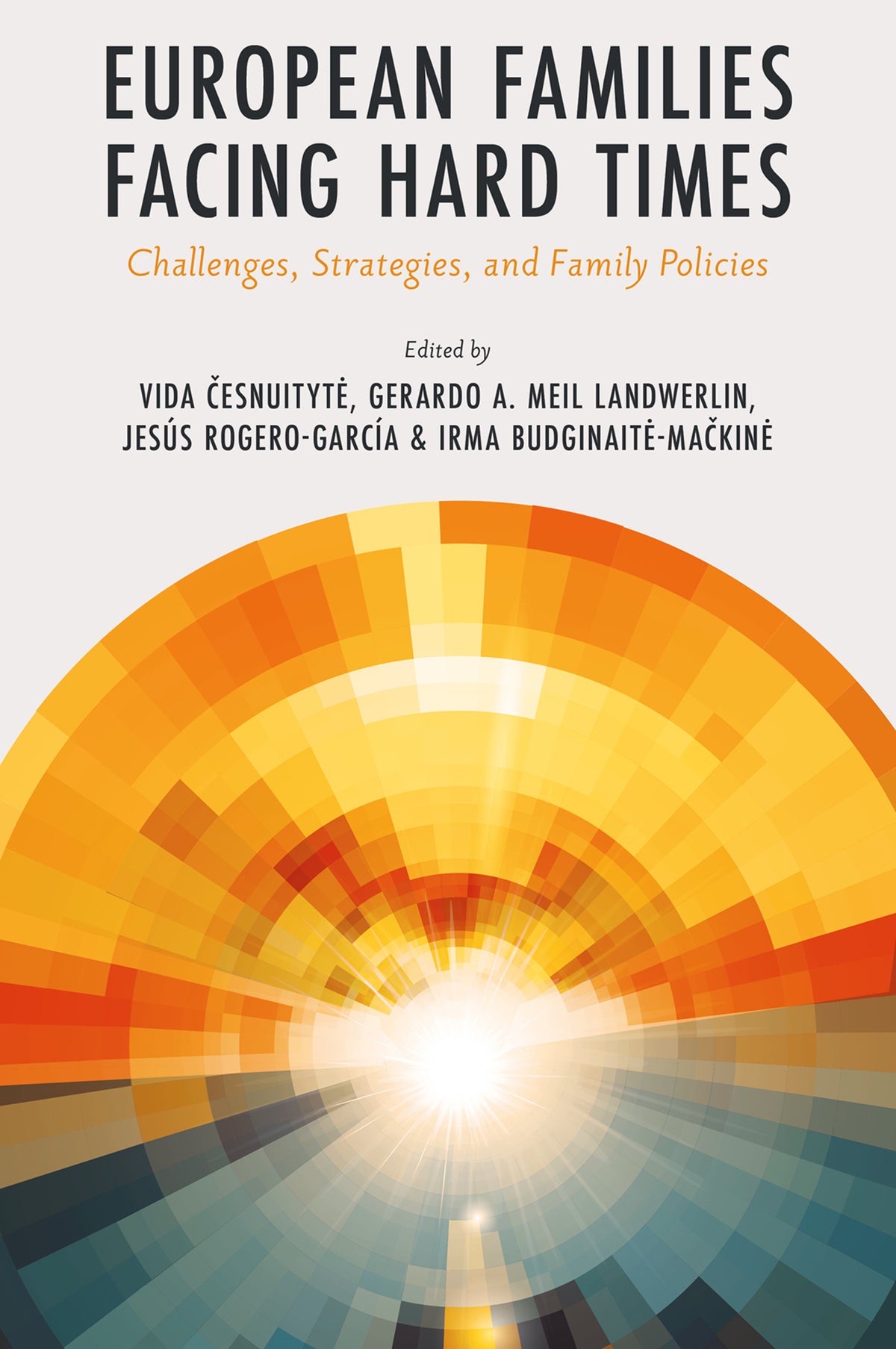 Cover image for European Families Facing Hard Times ISBN 9781836088950