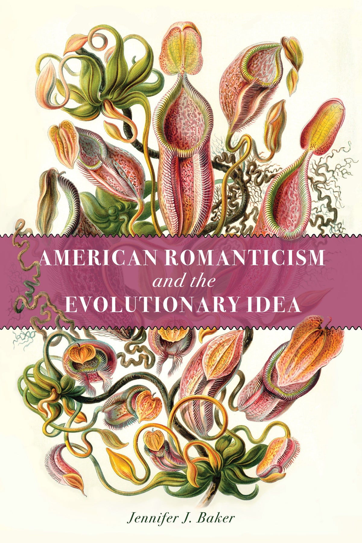 American Romanticism and the Evolutionary Idea