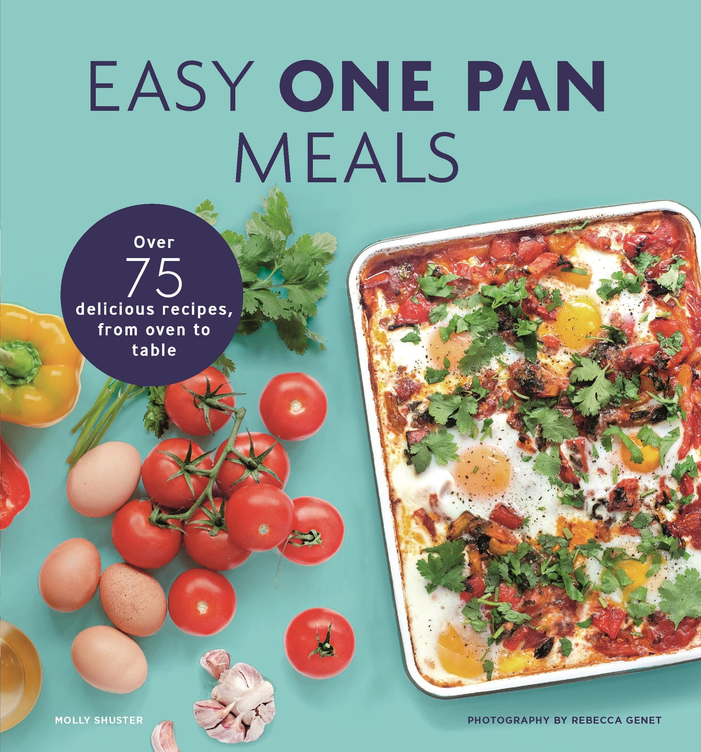 Easy One Pan Meals