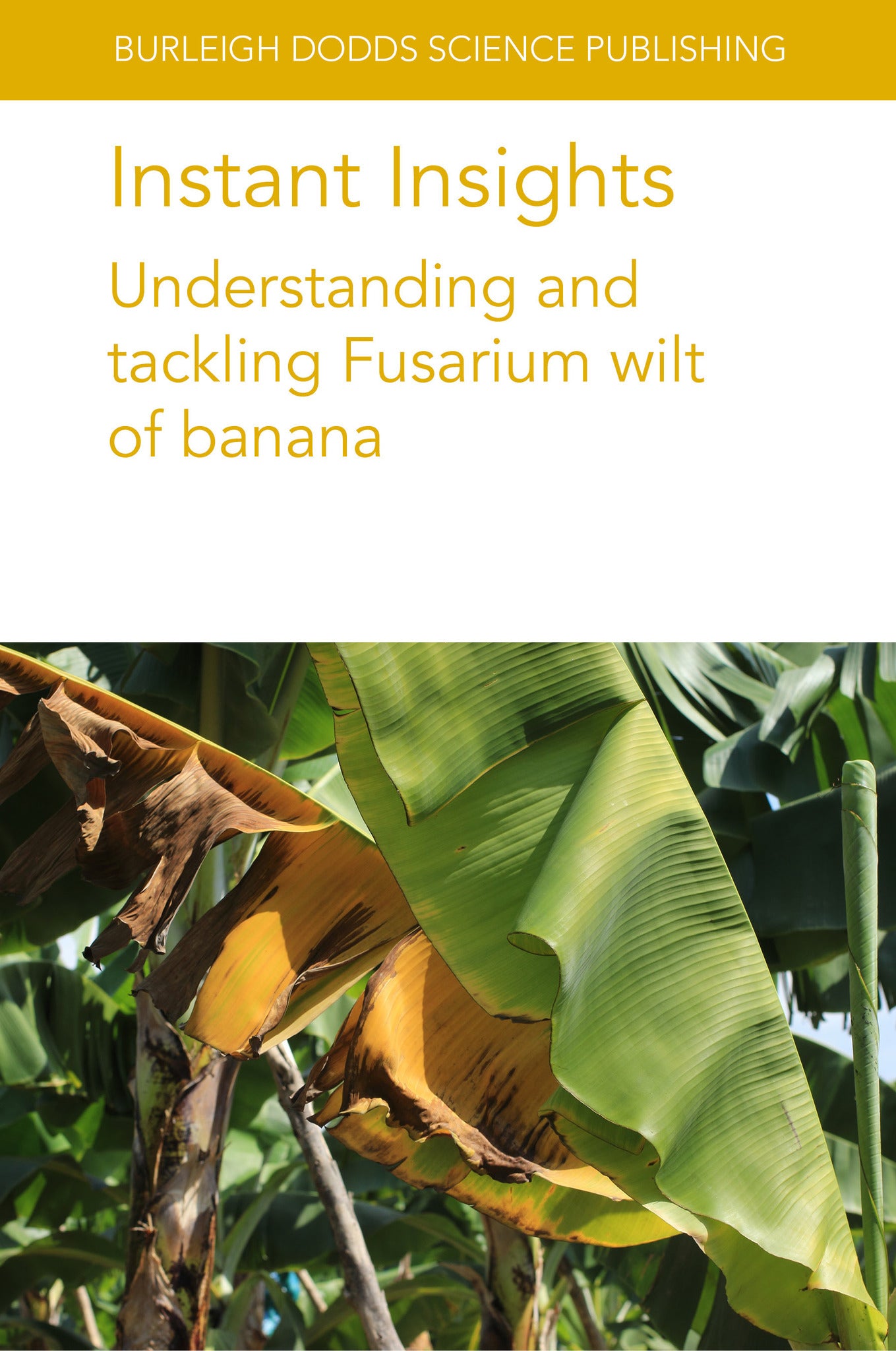 Cover image for Instant Insights: Understanding and tackling Fusarium wilt of banana ISBN 9781835452615