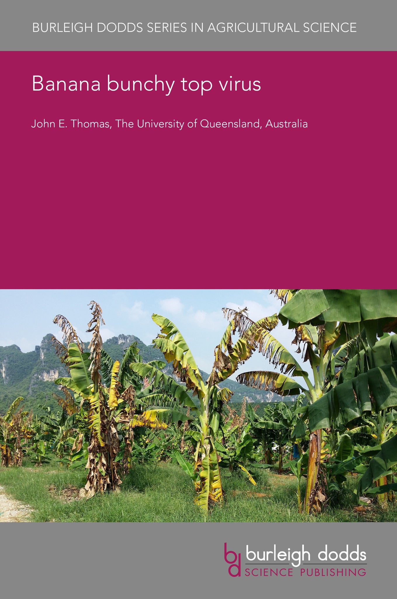 Cover image for Banana bunchy top virus ISBN 9781835451113