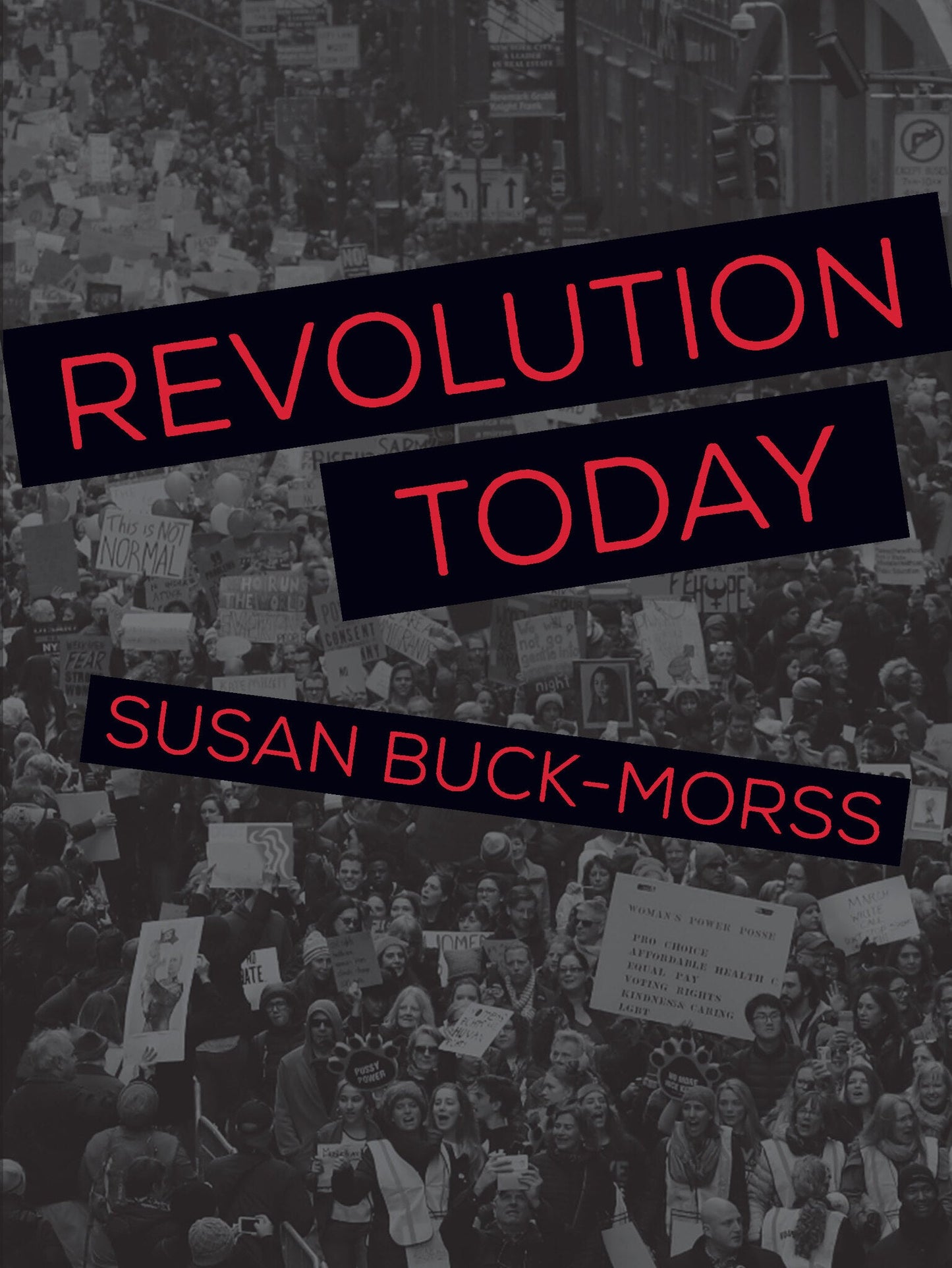 Cover image for Revolution Today ISBN 9781608466832
