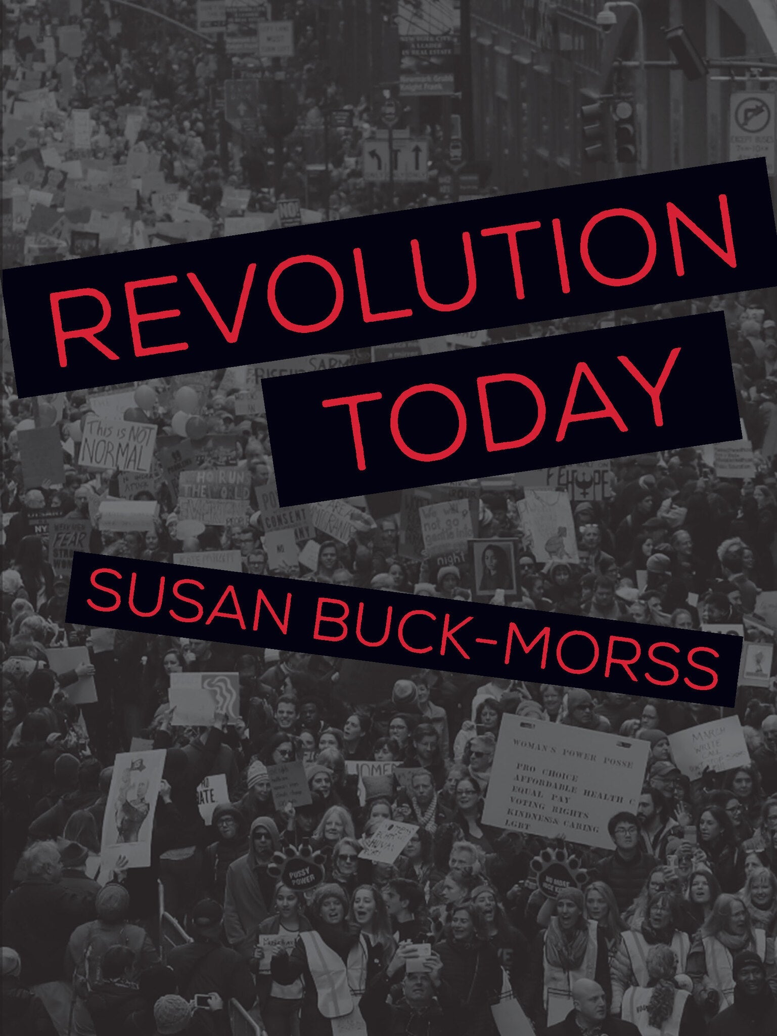 Cover image for Revolution Today ISBN 9781608466832