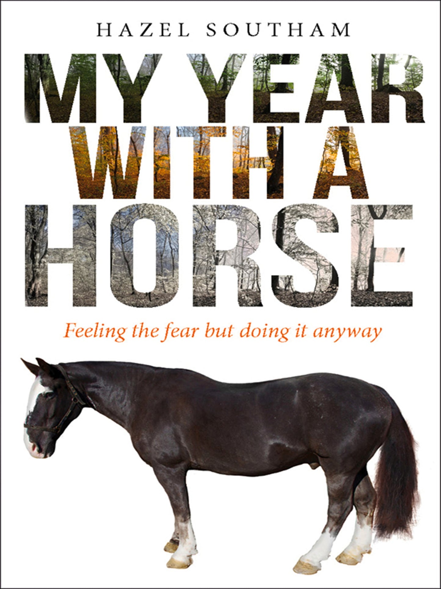 Cover image for My Year With a Horse ISBN 9780745968490