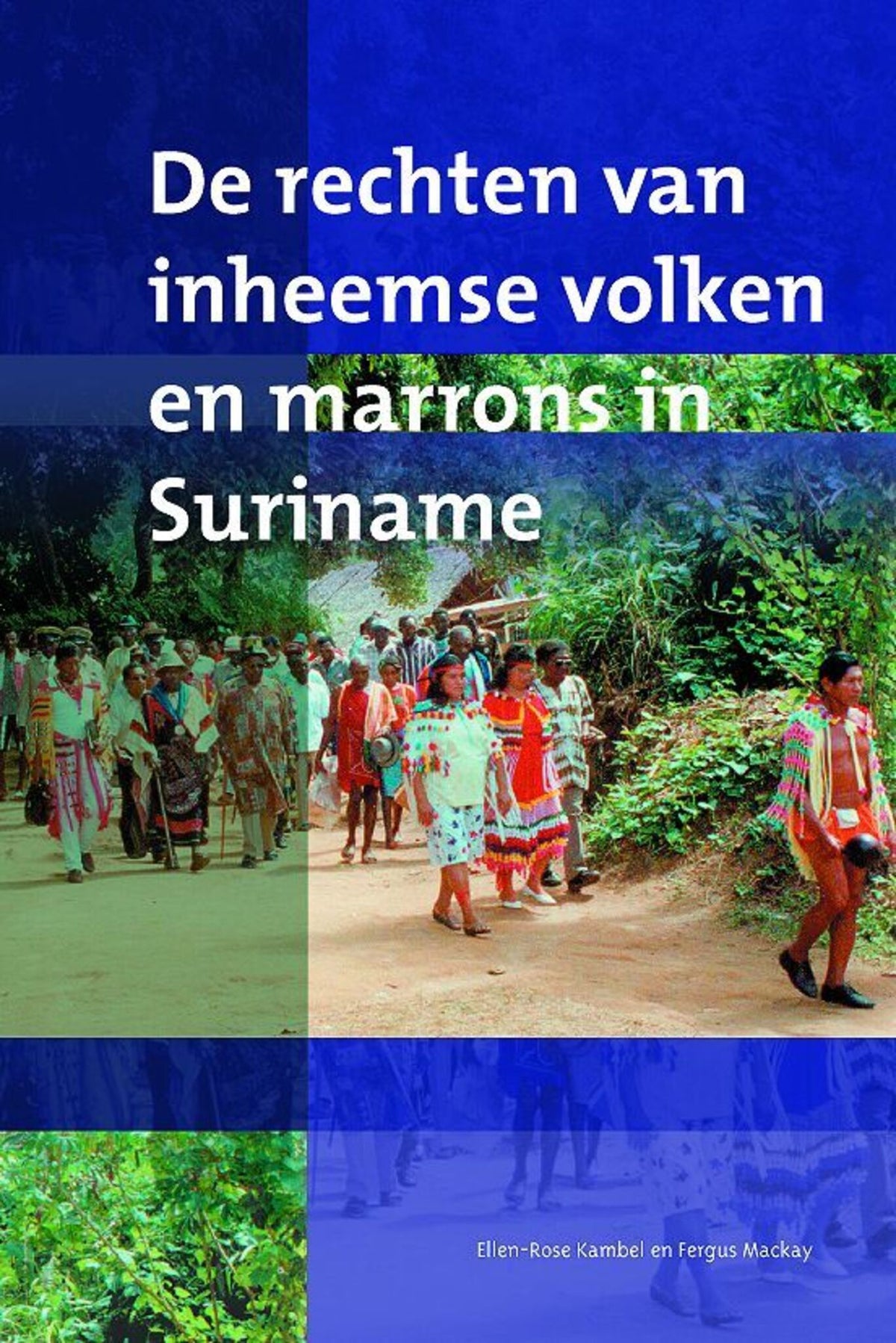 Cover image for De rechten van inheemse volken en marrons in Suriname ISBN 9789067182102